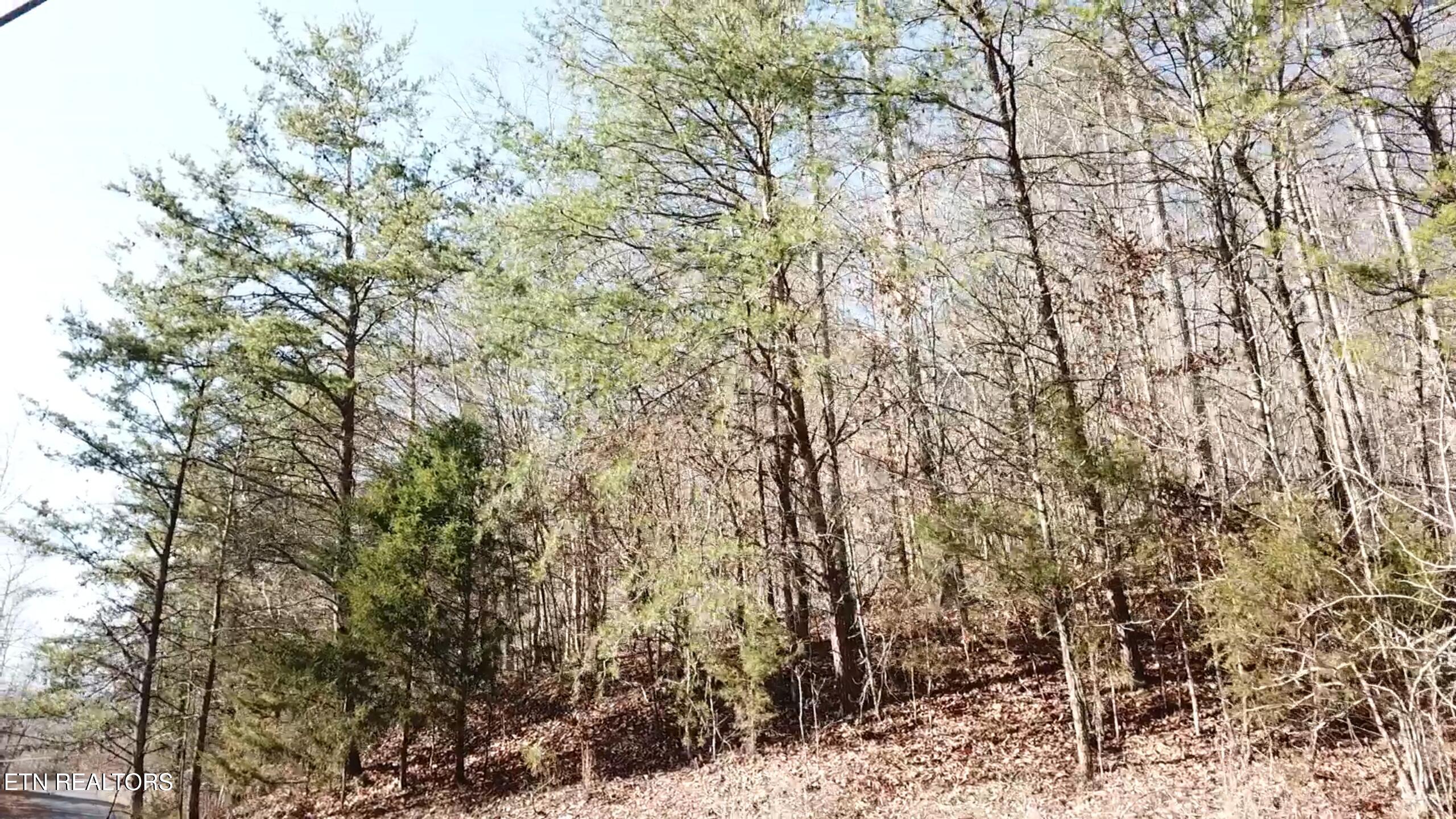 Lot 142 Whistle Valley Road New Tazewell TN 37825