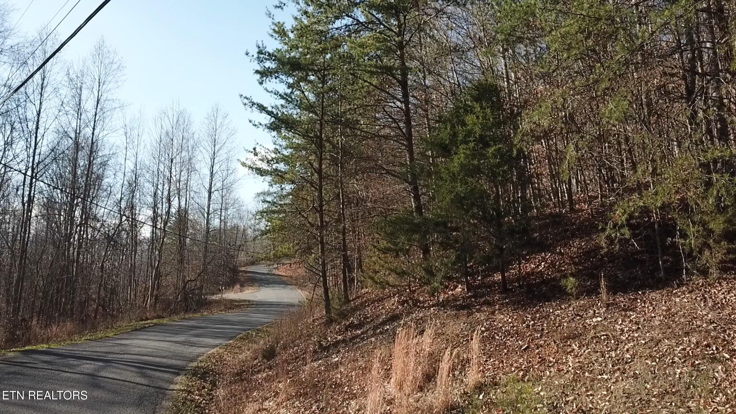 Lot 142 Whistle Valley Road New Tazewell TN 37825
