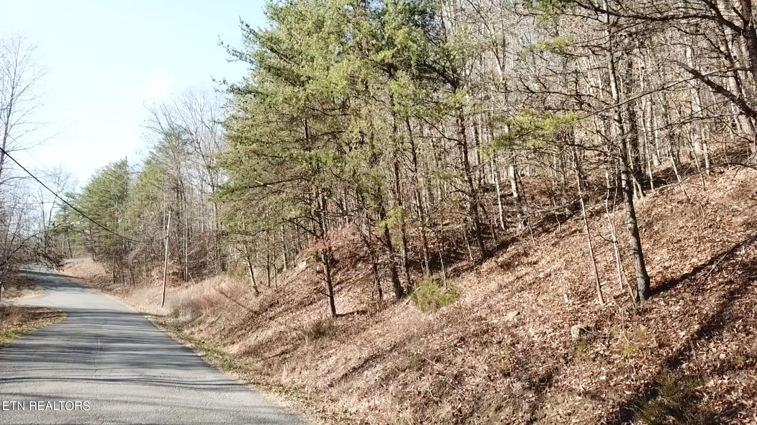 Lot 142 Whistle Valley Road New Tazewell TN 37825