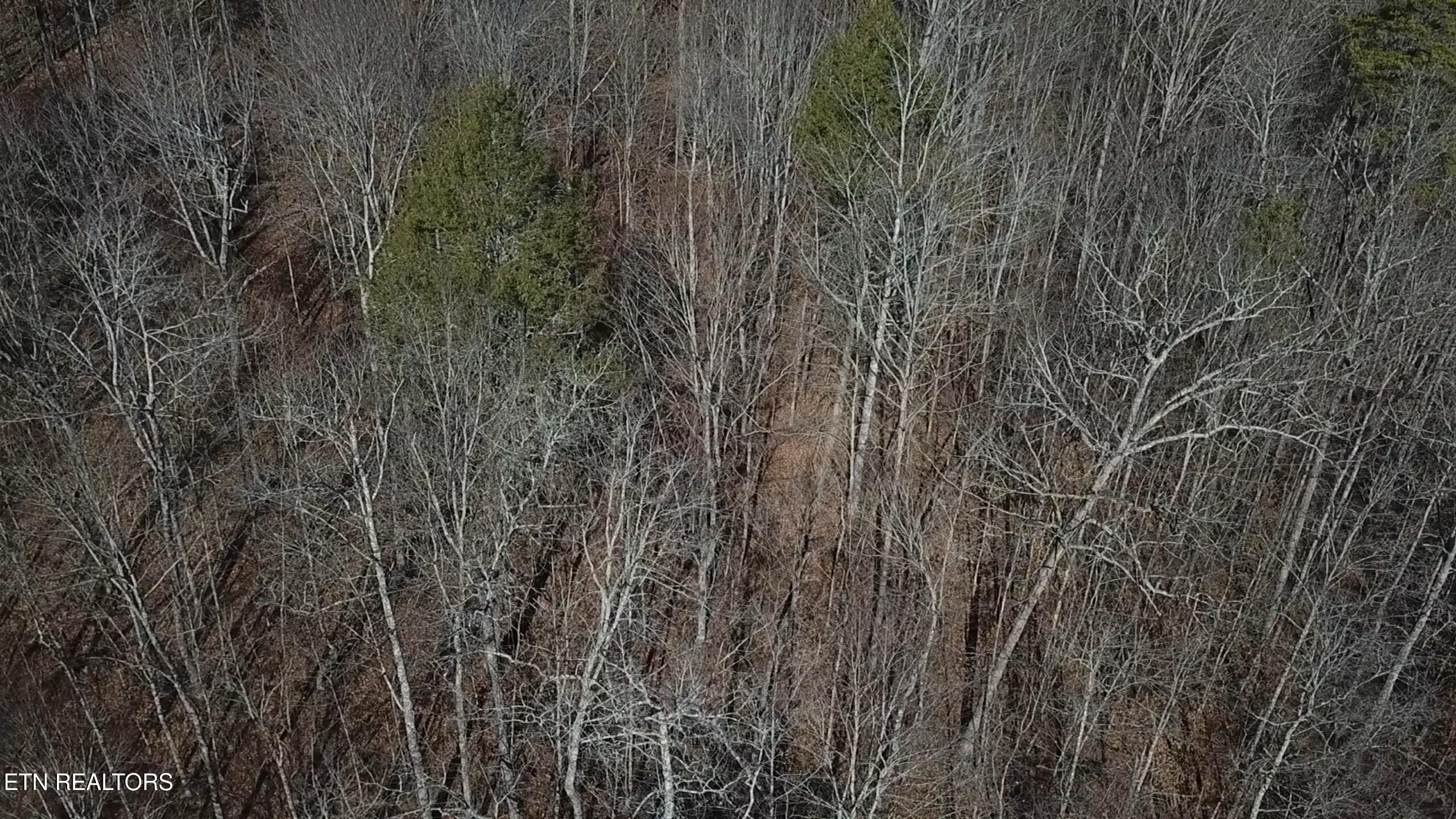 Lot 142 Whistle Valley Road New Tazewell TN 37825