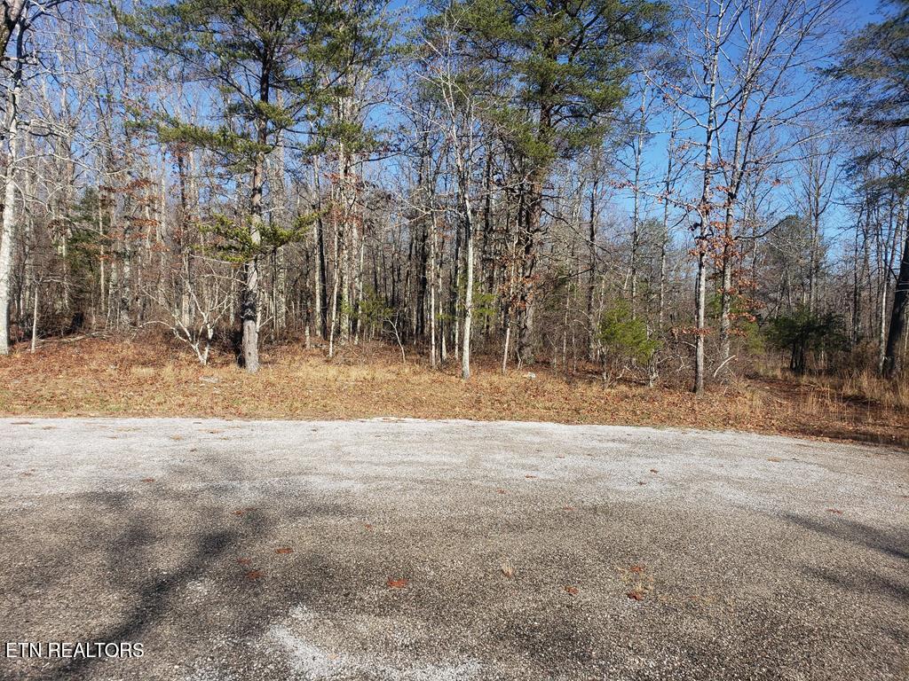 Lot 44 Hemlock Lane Spencer TN 38585