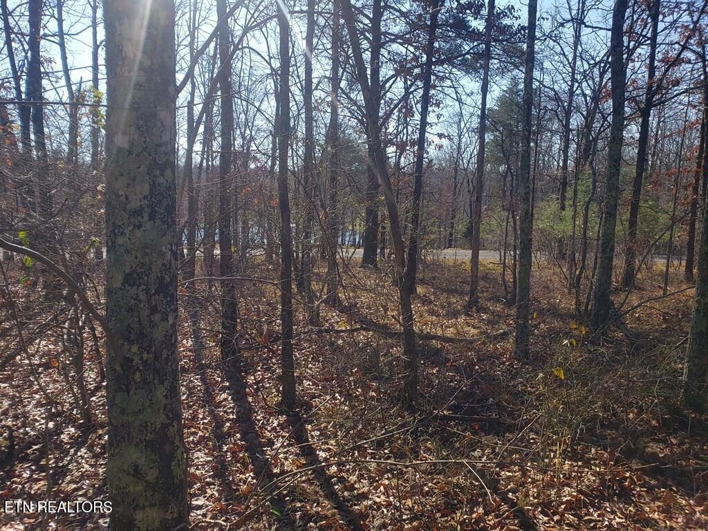 Lot 44 Hemlock Lane Spencer TN 38585