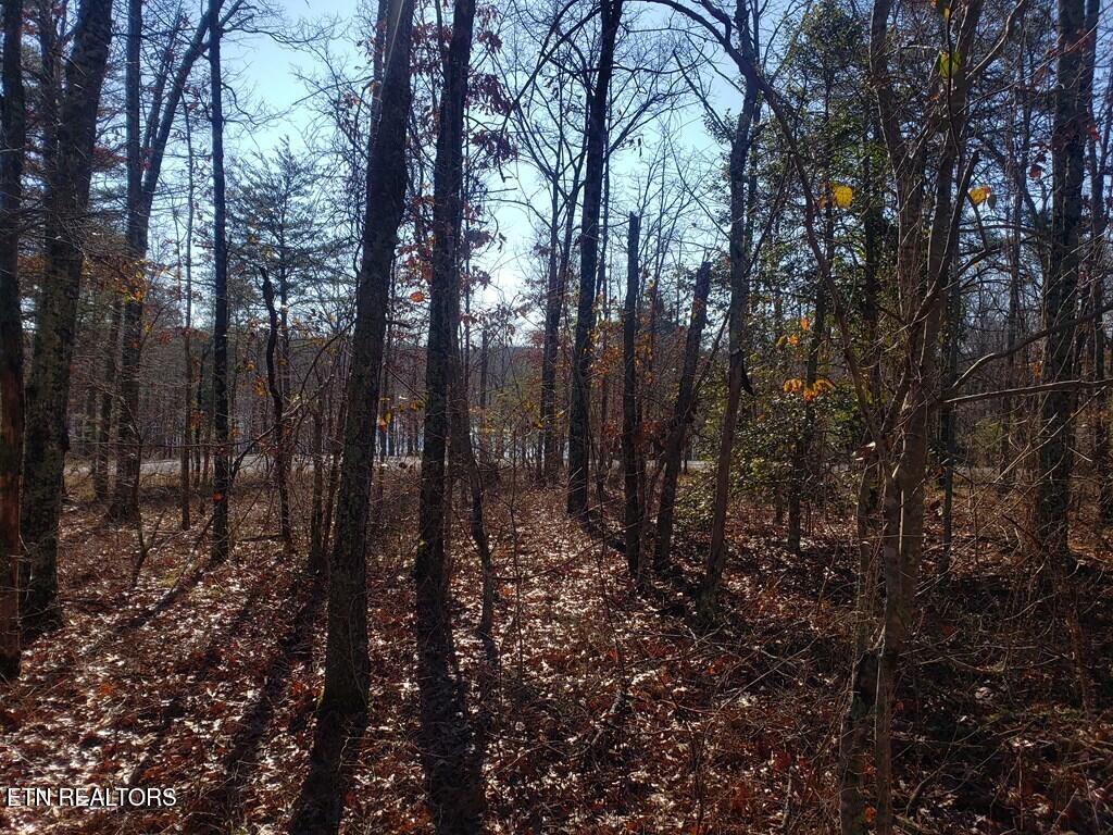 Lot 44 Hemlock Lane Spencer TN 38585