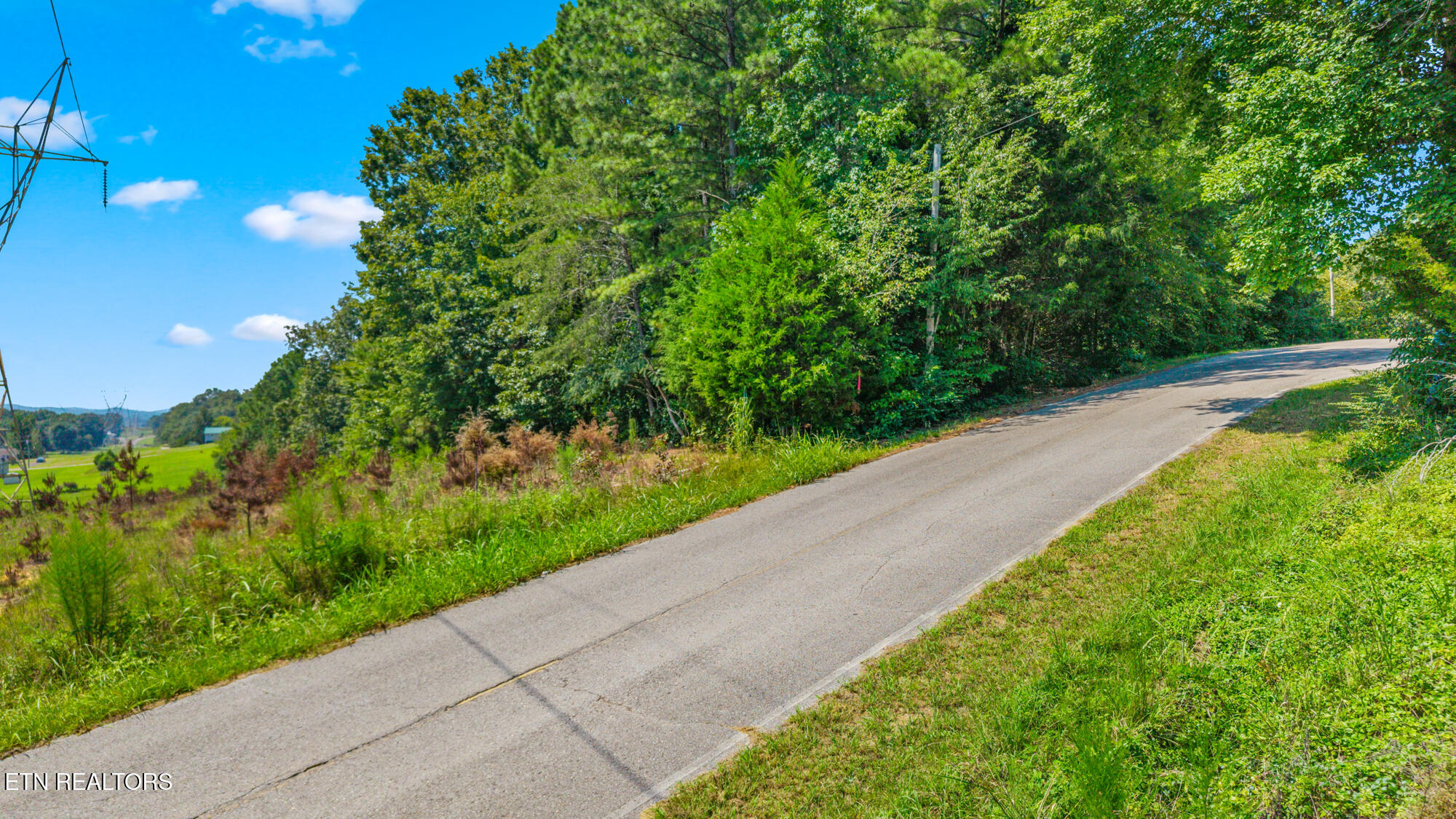 Lot 38 Dogwood Circle Decatur TN 37322