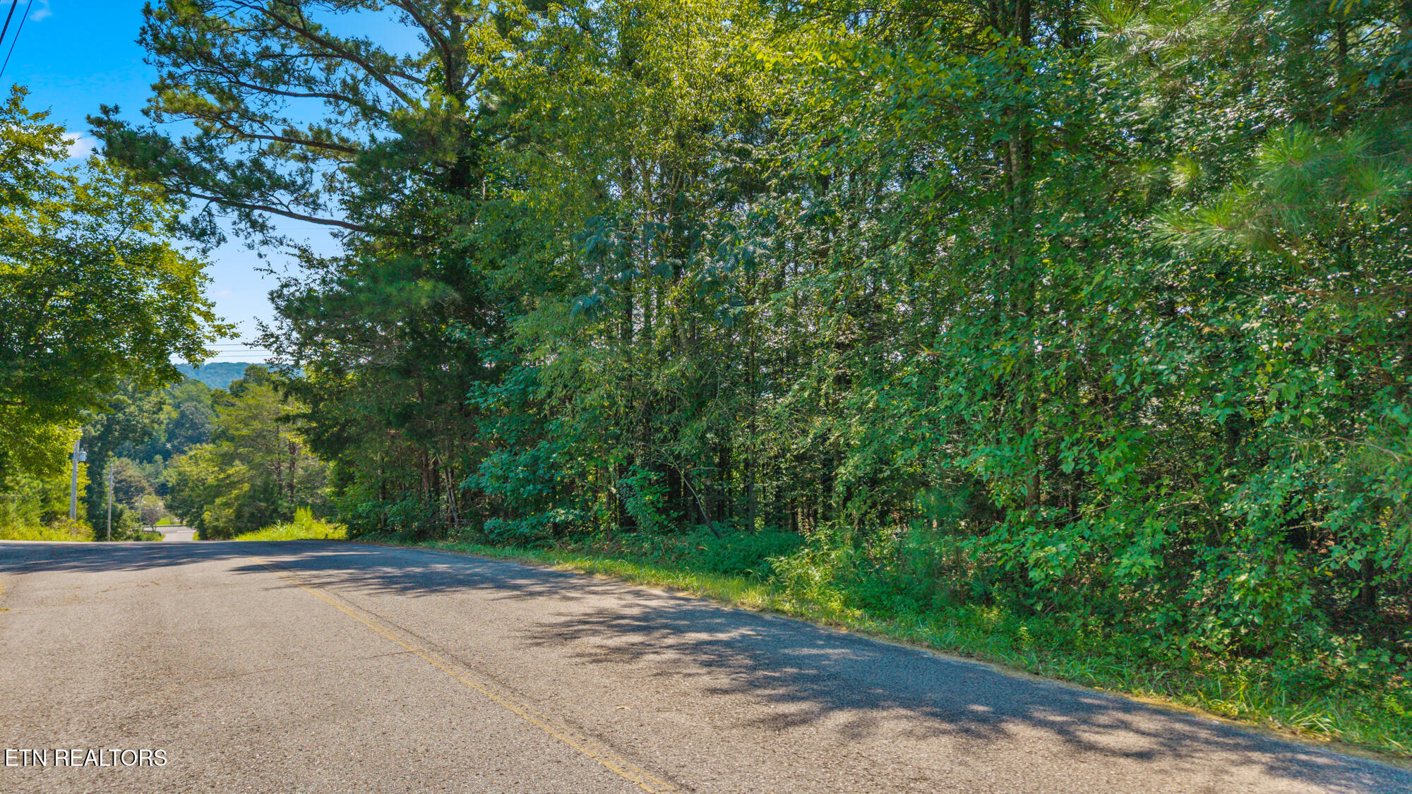 Lot 38 Dogwood Circle Decatur TN 37322