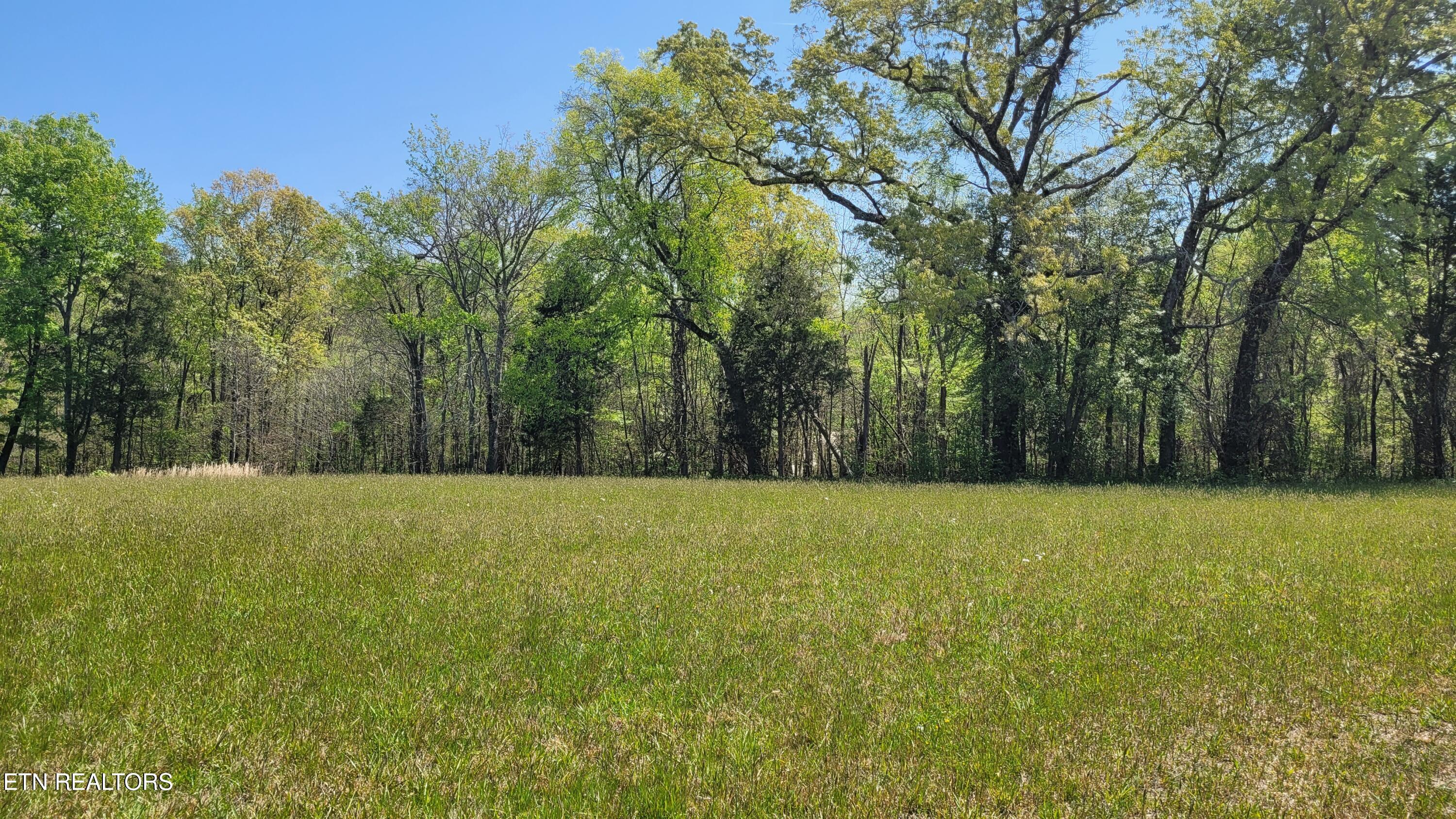 Lot 56 Sunset Boulevard White Pine TN 37890