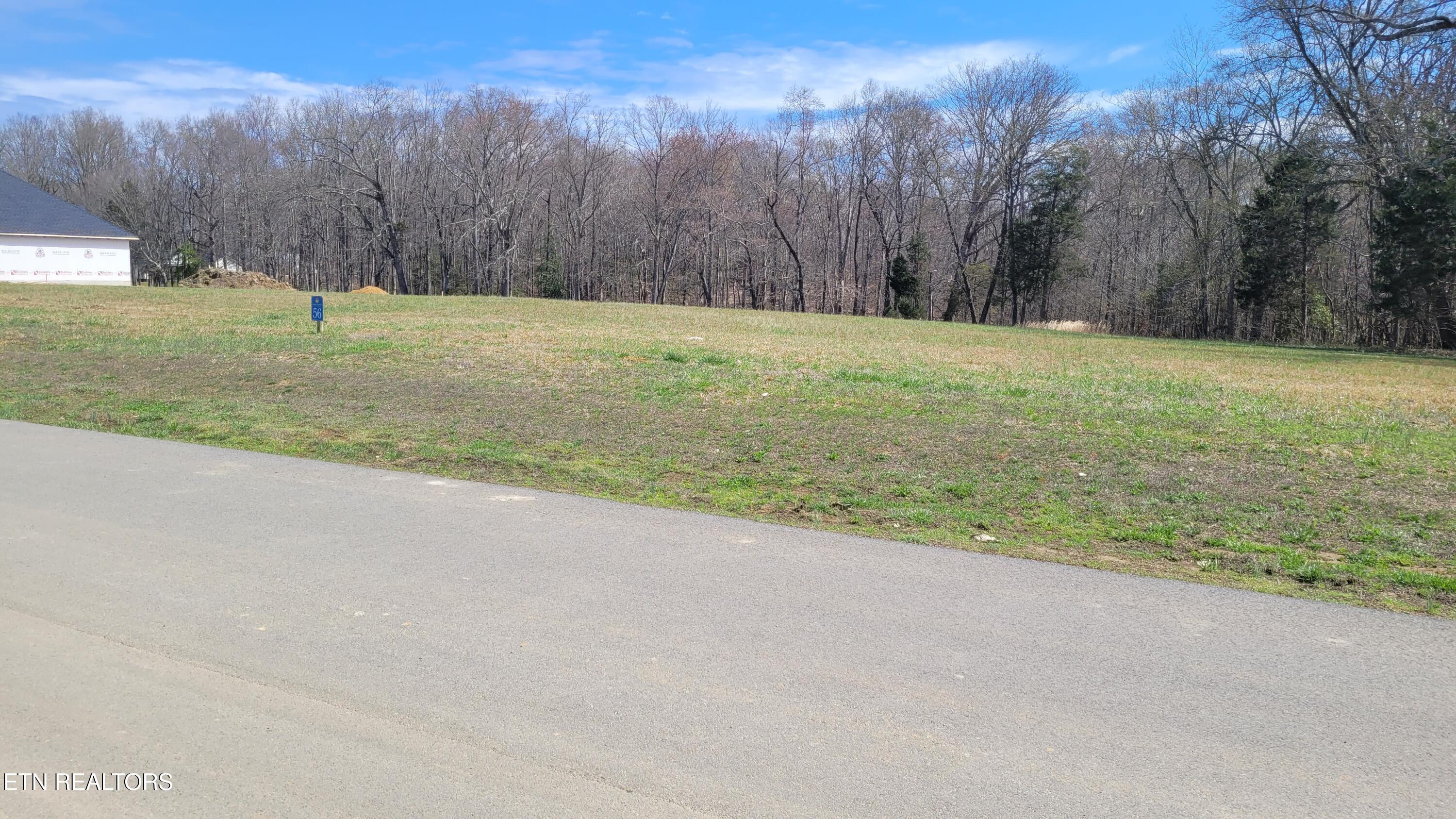 Lot 56 Sunset Boulevard White Pine TN 37890