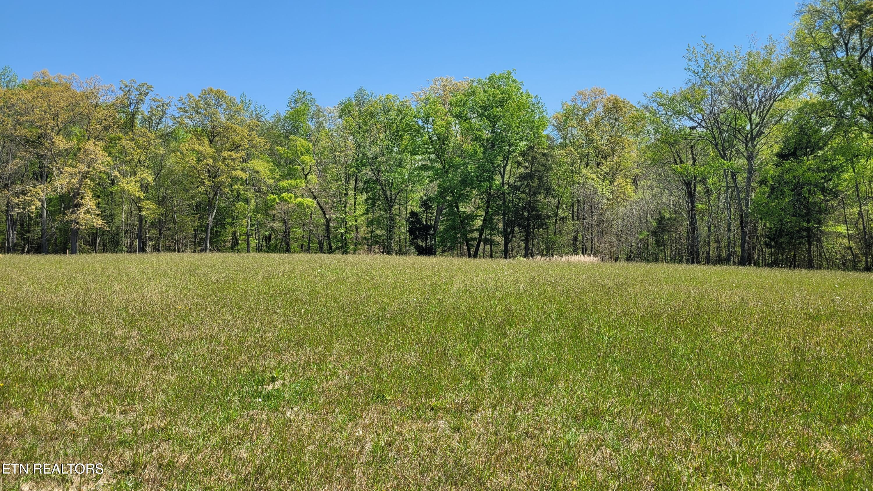 Lot 56 Sunset Boulevard White Pine TN 37890