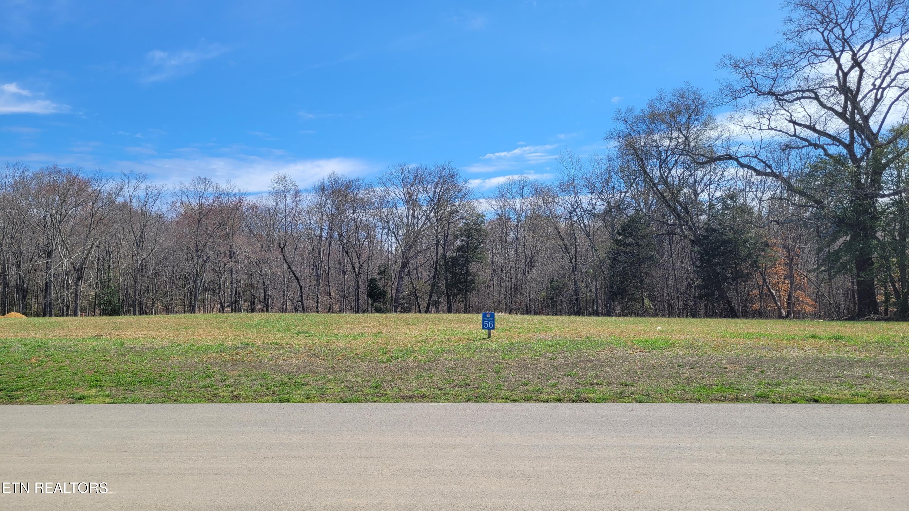 Lot 56 Sunset Boulevard White Pine TN 37890