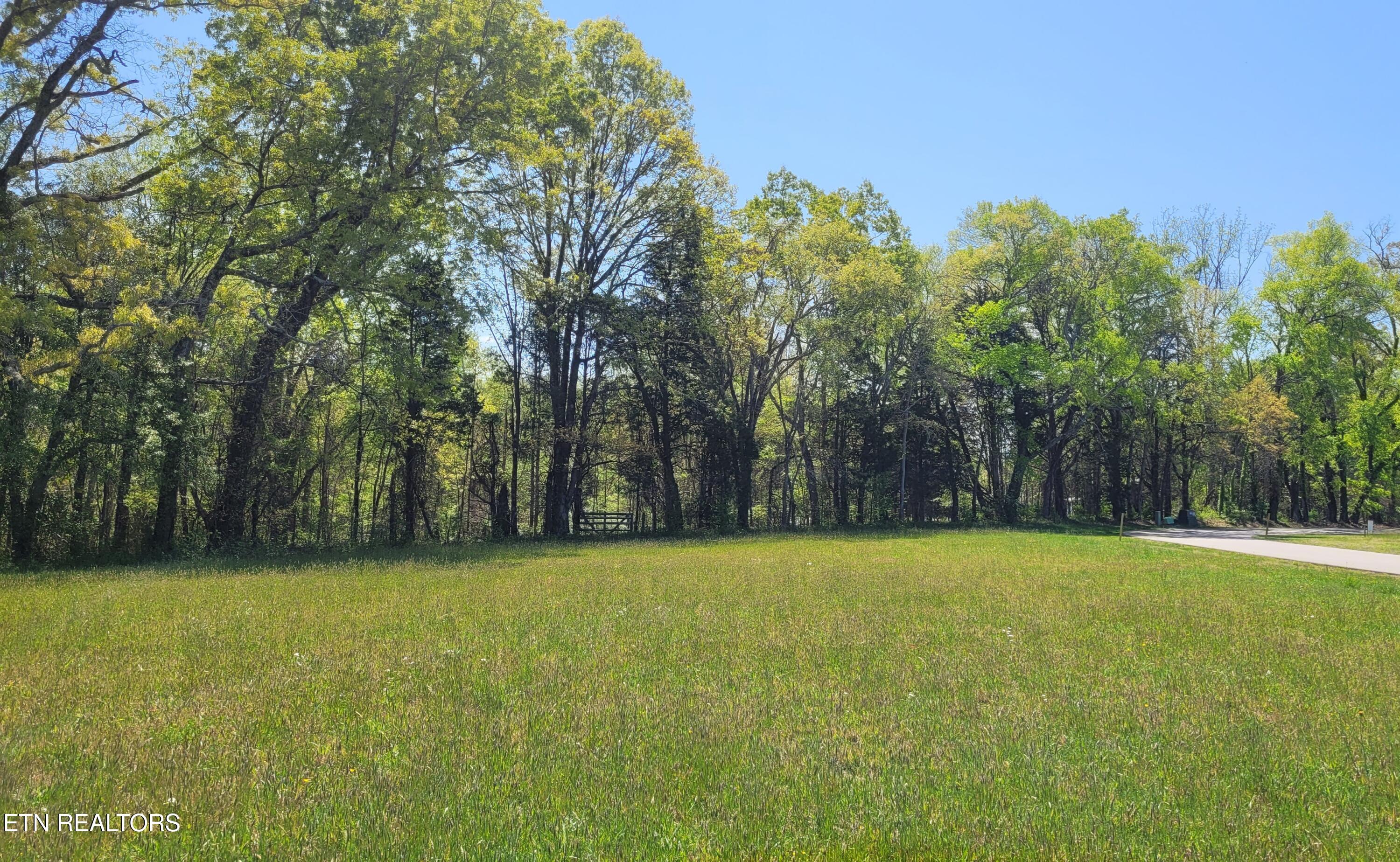 Lot 56 Sunset Boulevard White Pine TN 37890