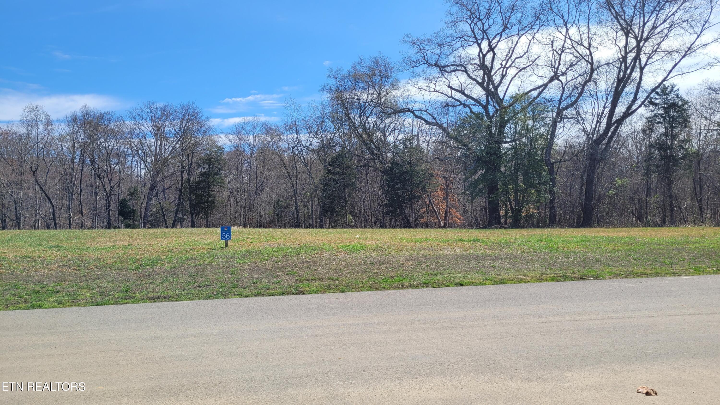 Lot 56 Sunset Boulevard White Pine TN 37890