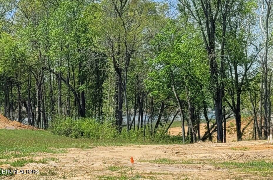 Lot 56 Sunset Boulevard White Pine TN 37890