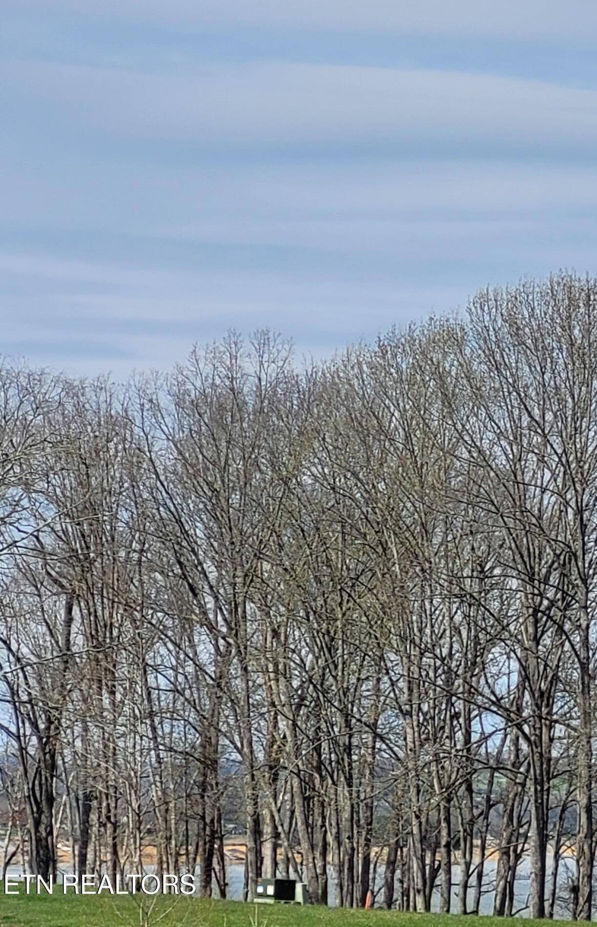 Lot 56 Sunset Boulevard White Pine TN 37890