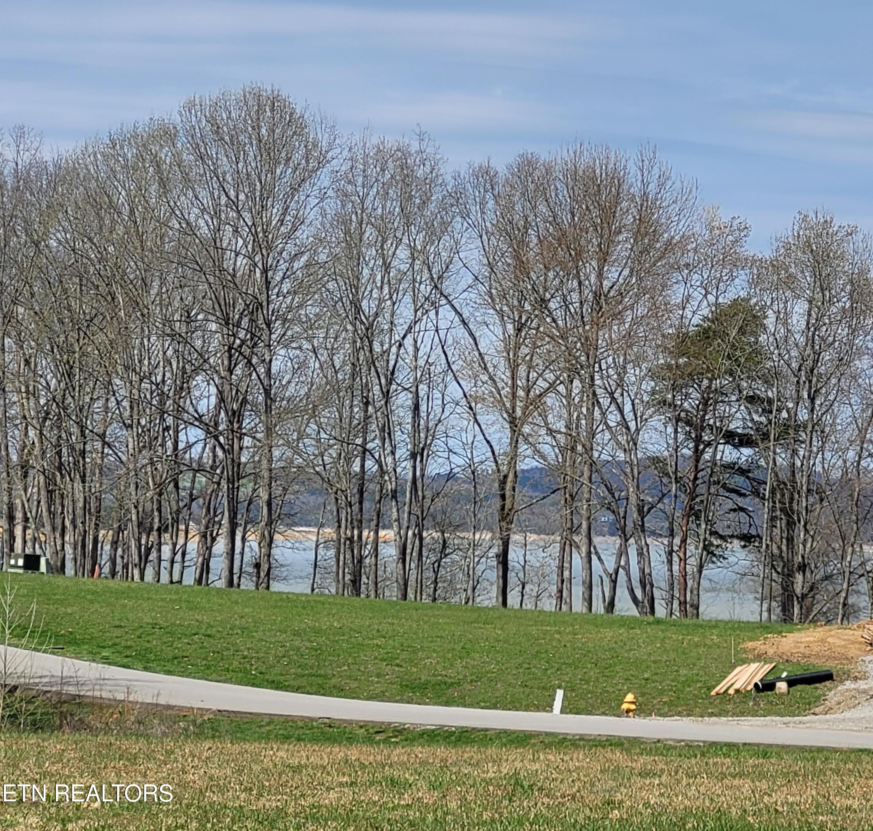 Lot 56 Sunset Boulevard White Pine TN 37890
