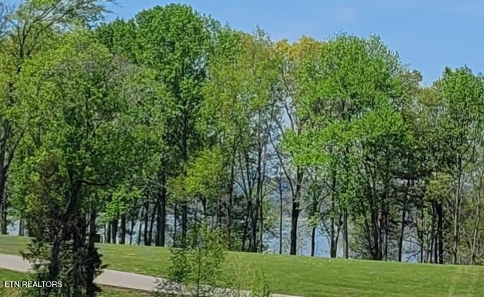 Lot 56 Sunset Boulevard White Pine TN 37890