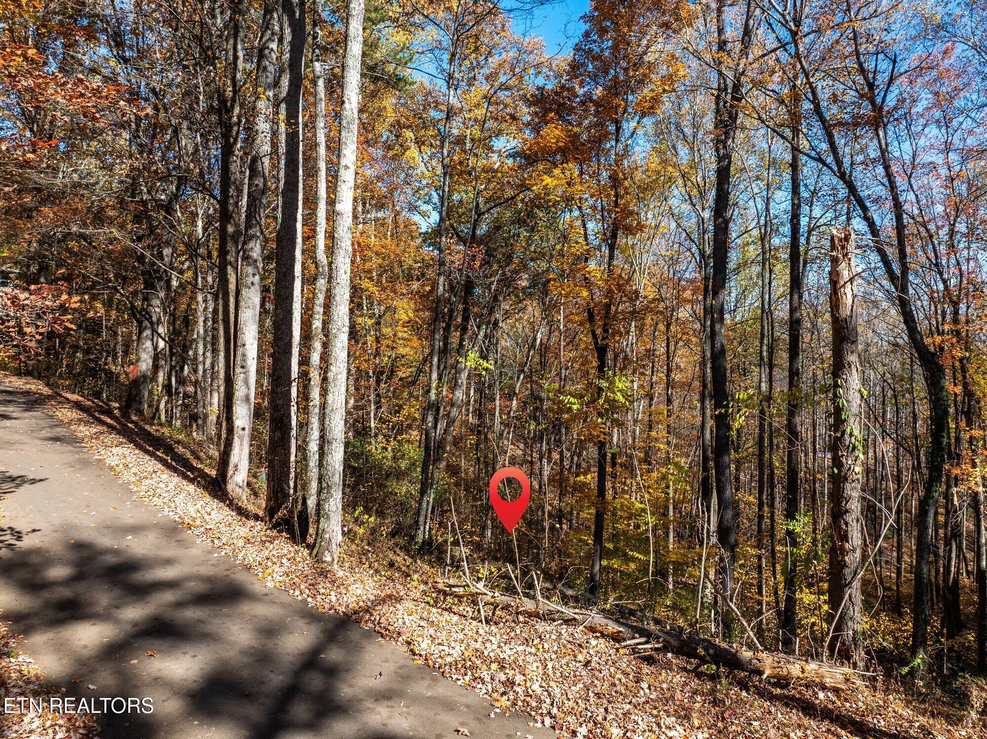 1032 Deep Hollow Road Gatlinburg TN 37738