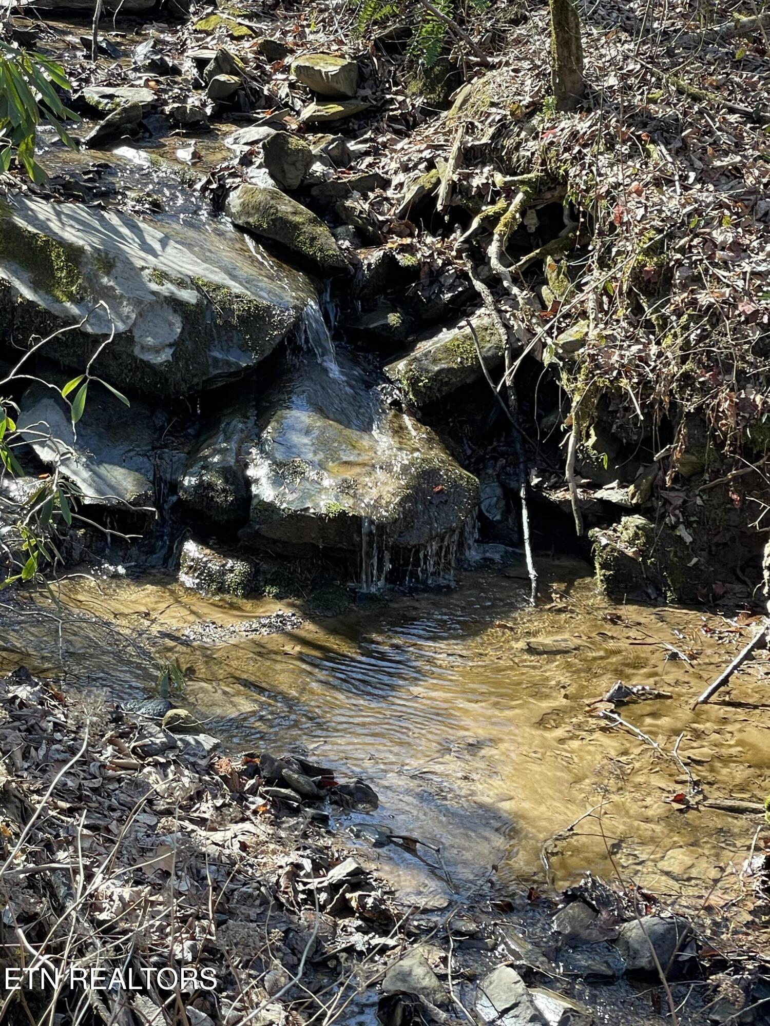 1032 Deep Hollow Road Gatlinburg TN 37738