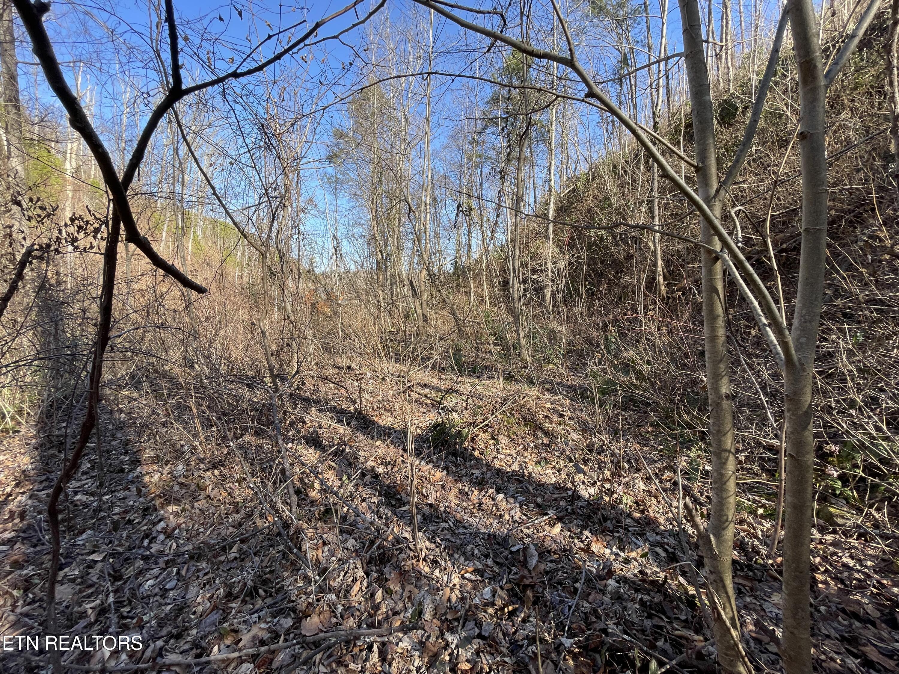 1032 Deep Hollow Road Gatlinburg TN 37738