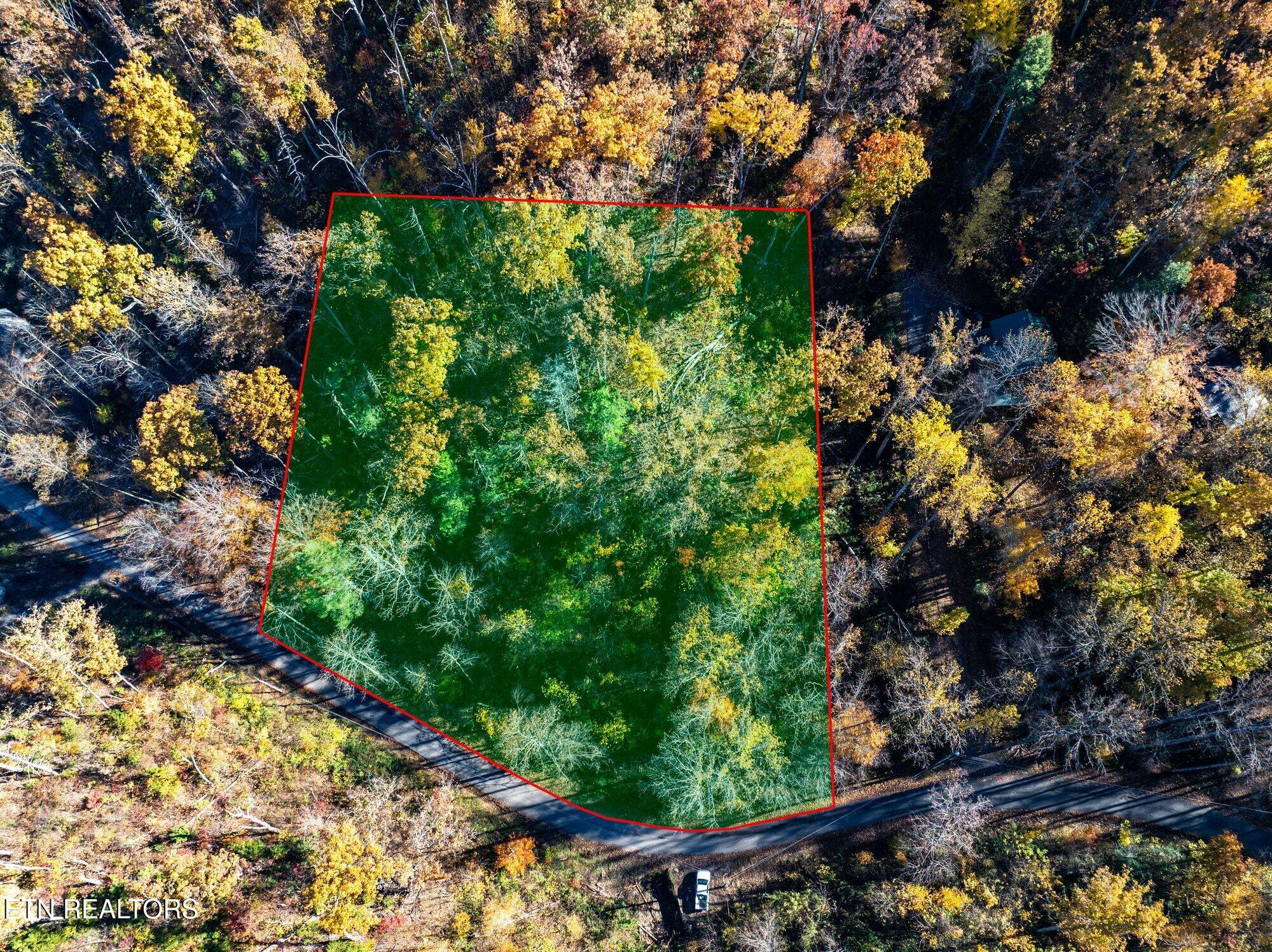 1032 Deep Hollow Road Gatlinburg TN 37738