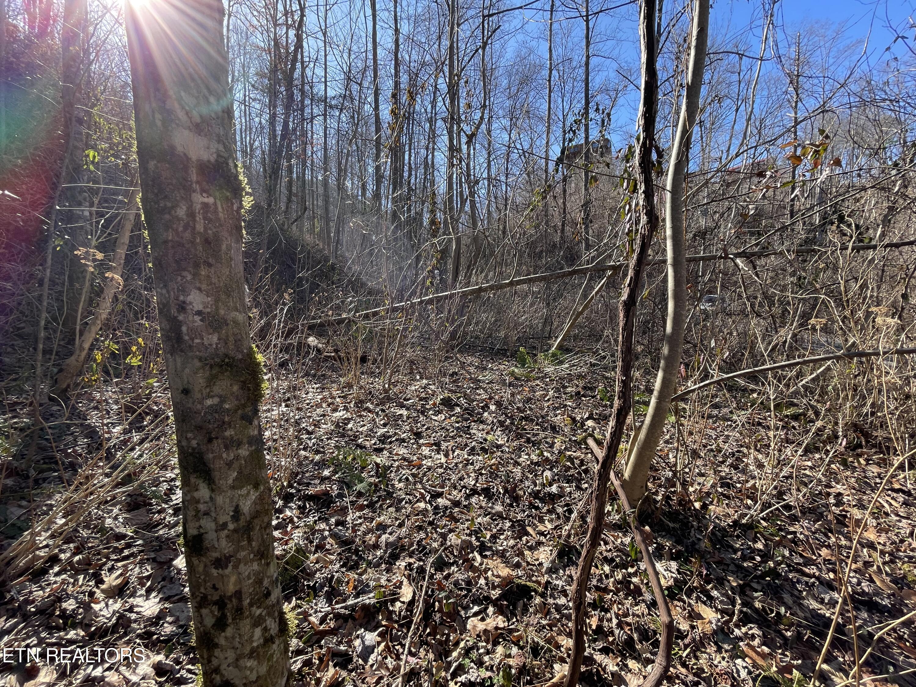 1032 Deep Hollow Road Gatlinburg TN 37738