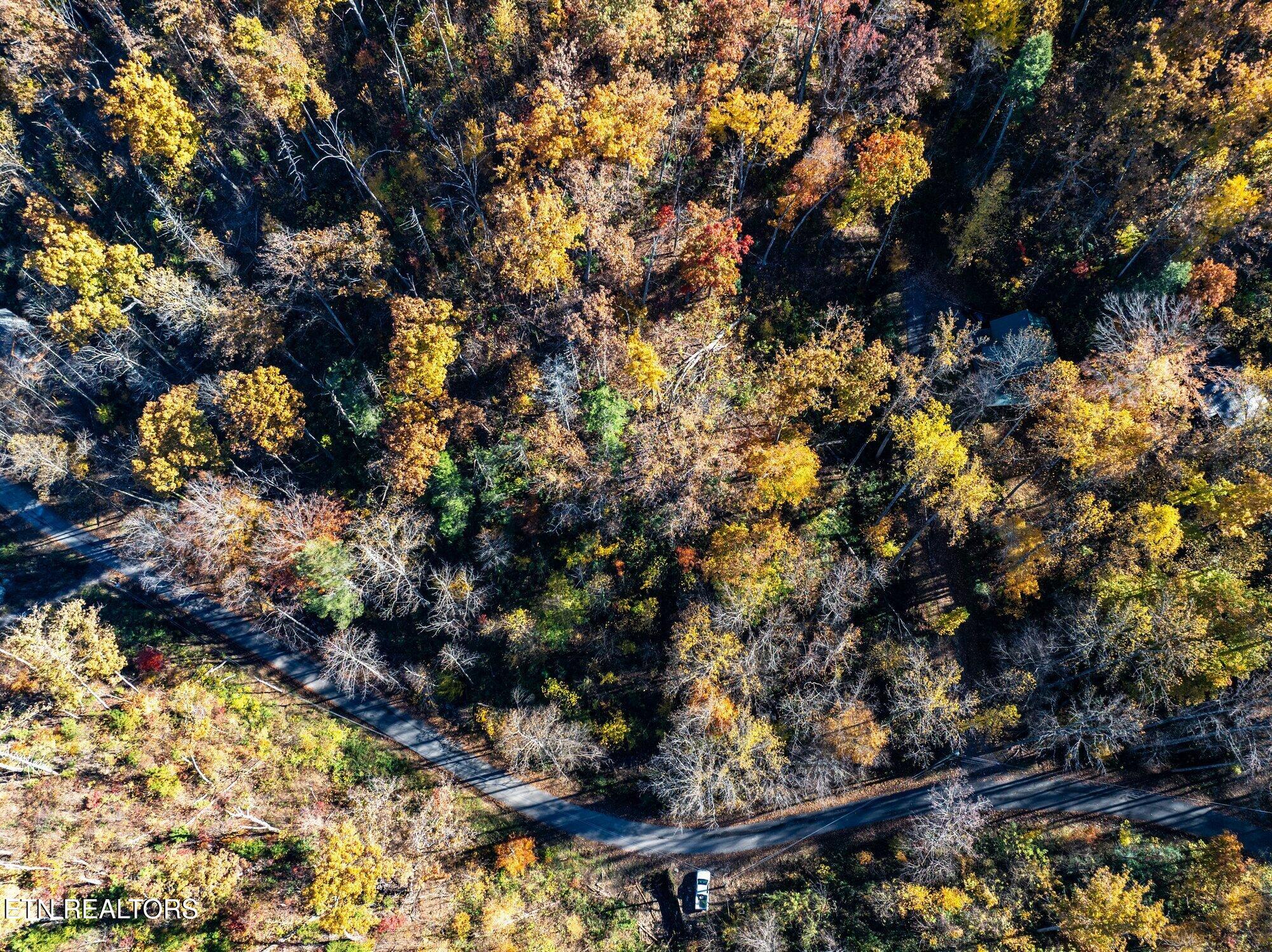 1032 Deep Hollow Road Gatlinburg TN 37738
