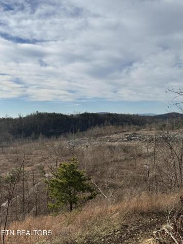 Pine Mountain Road Jellico TN 37762