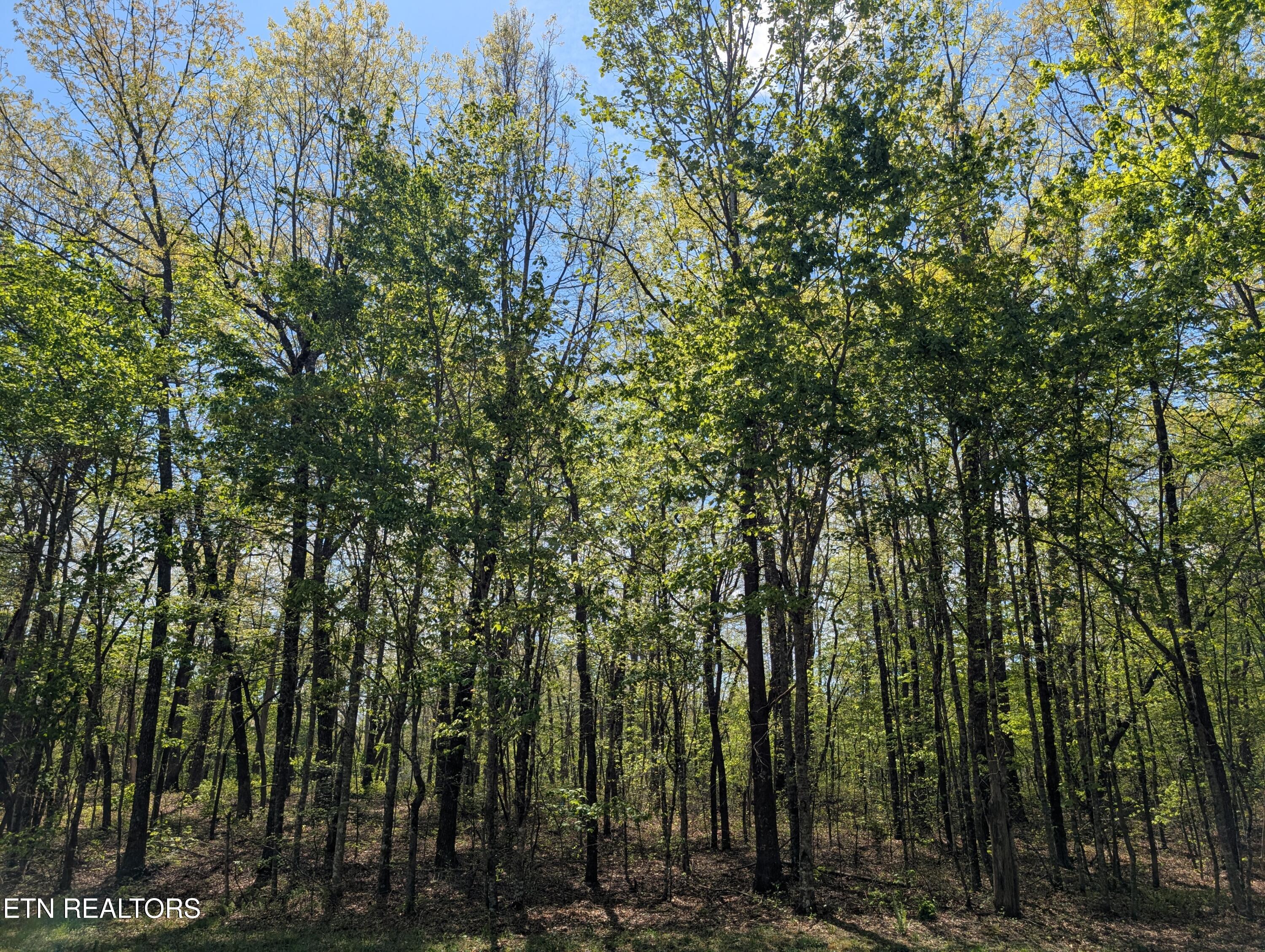 Cumberland Lakes Drive Monterey TN 38574