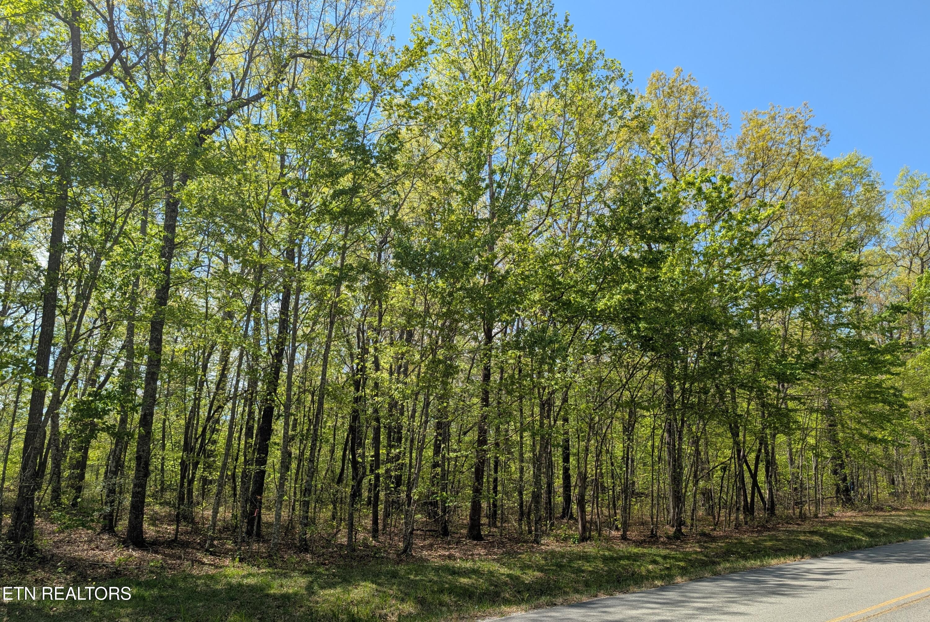 Cumberland Lakes Drive Monterey TN 38574