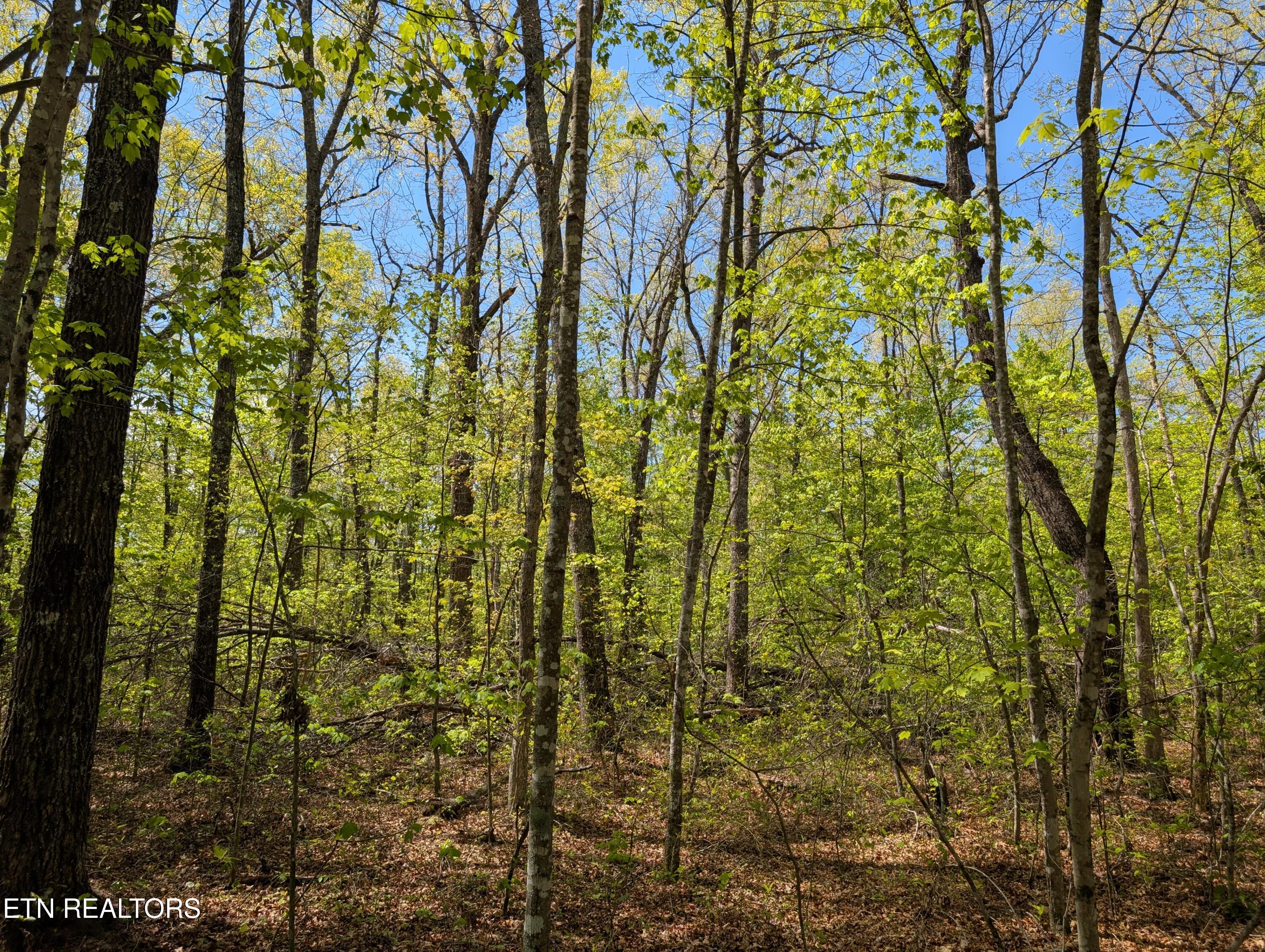 Cumberland Lakes Drive Monterey TN 38574