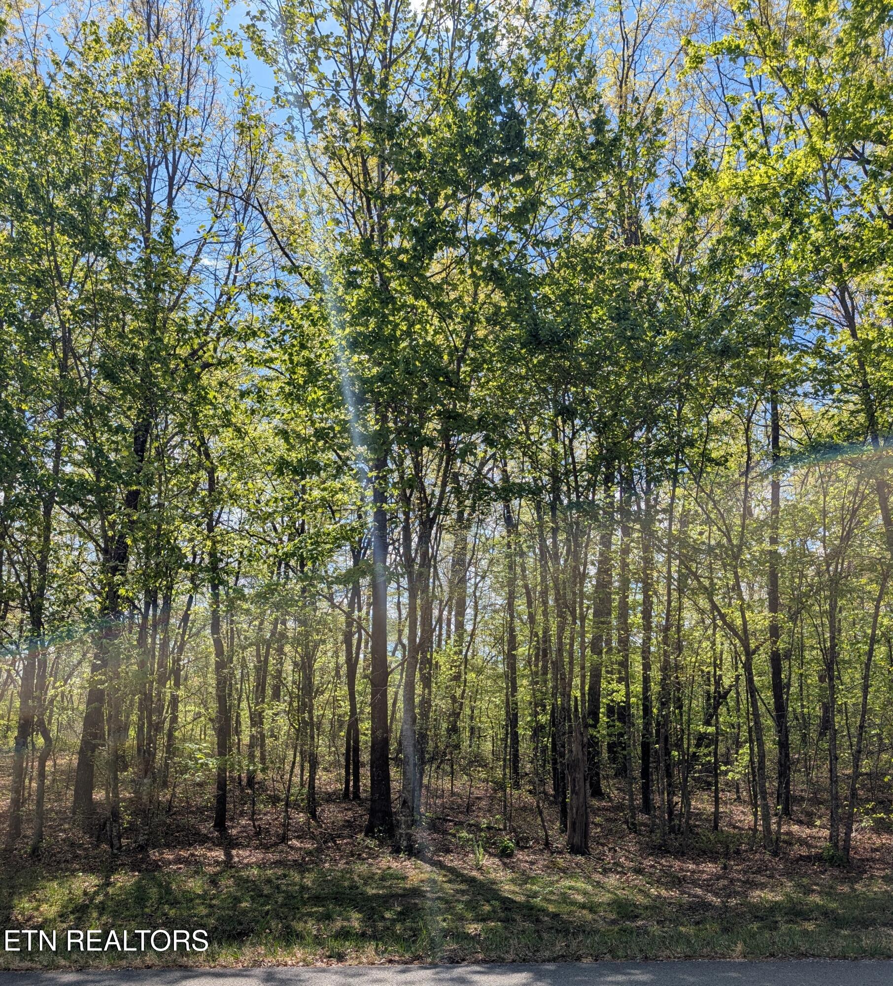 Cumberland Lakes Drive Monterey TN 38574