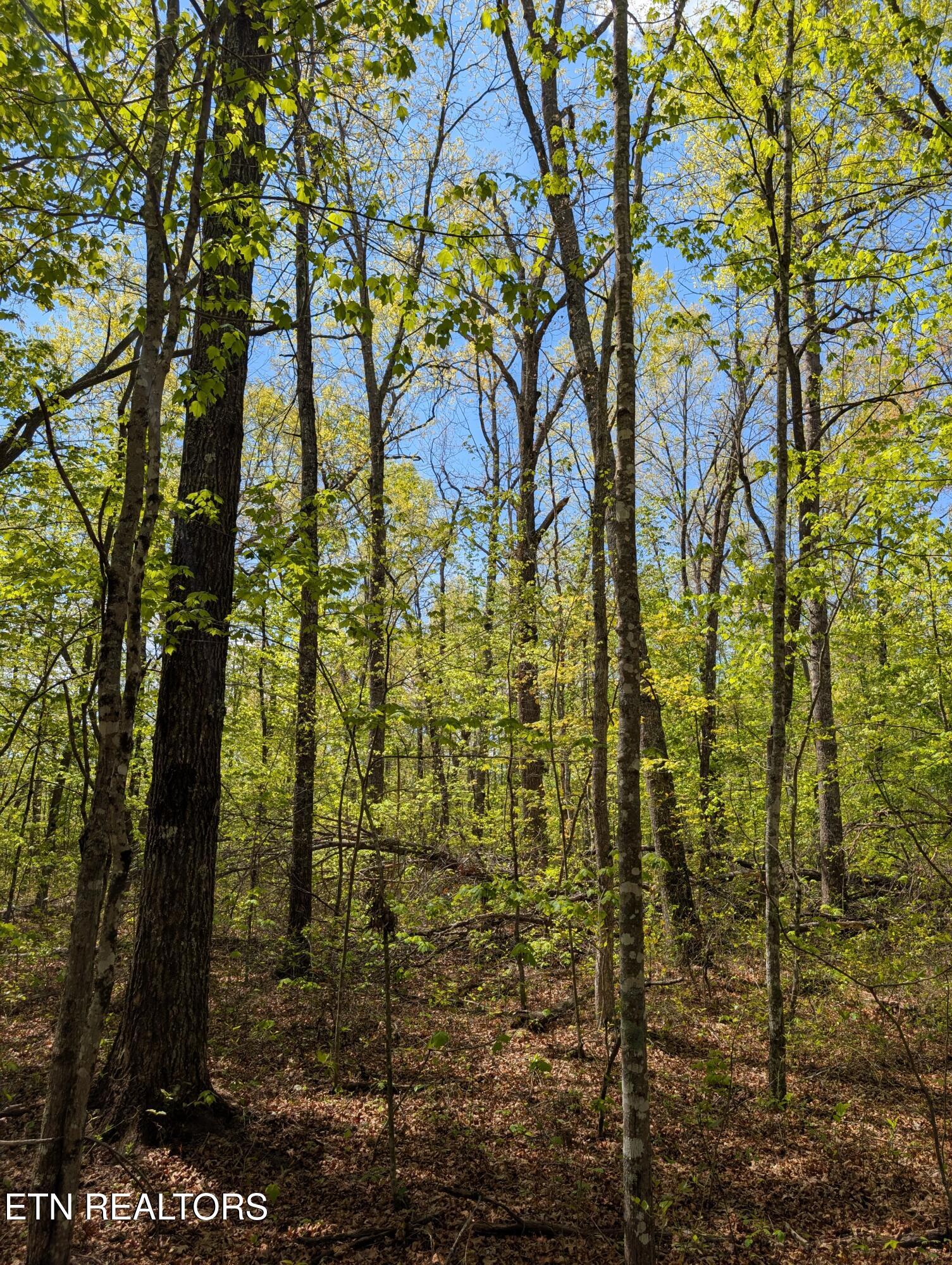 Cumberland Lakes Drive Monterey TN 38574