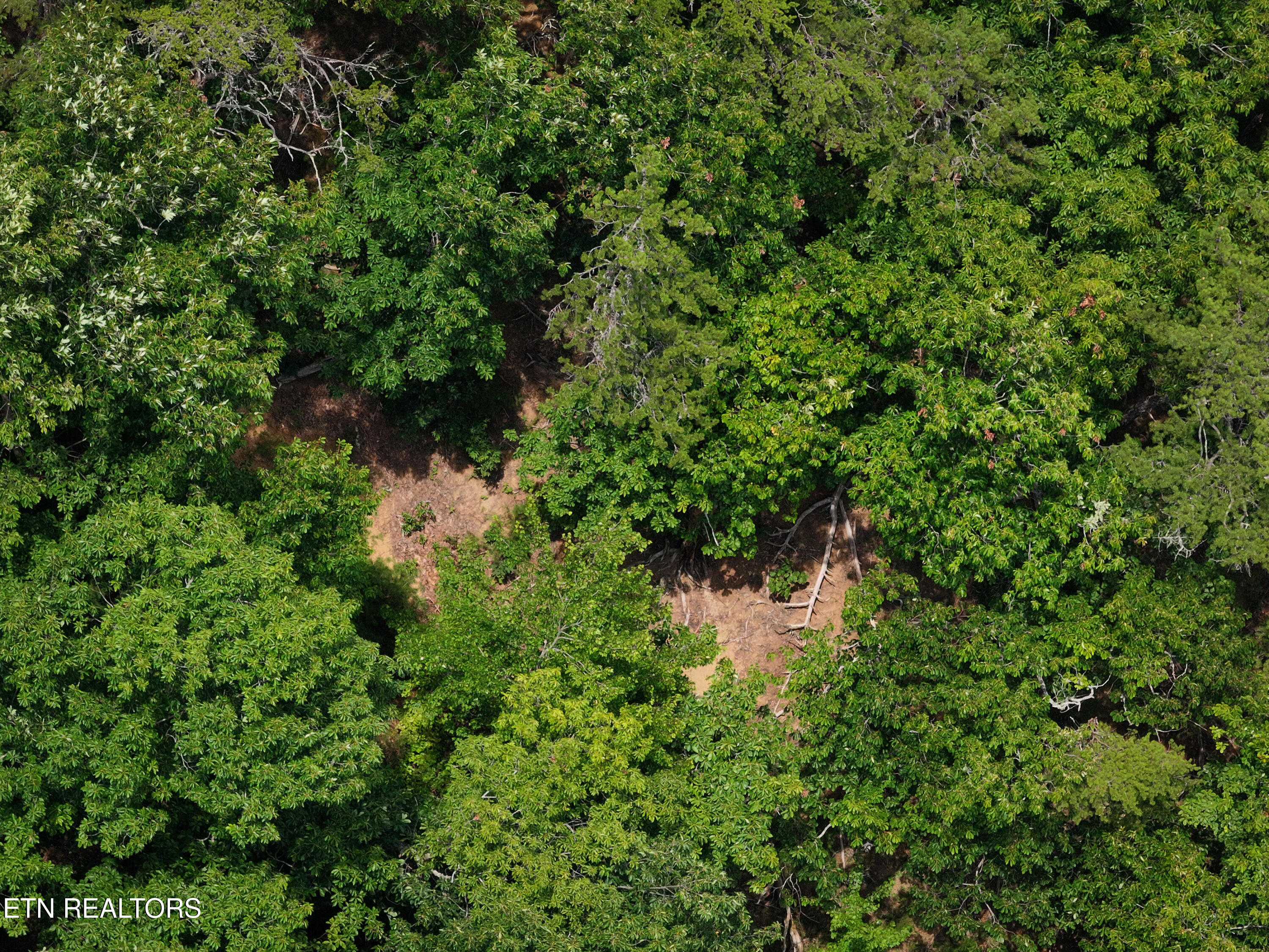 550 Middle Creek Road Cosby TN 37722