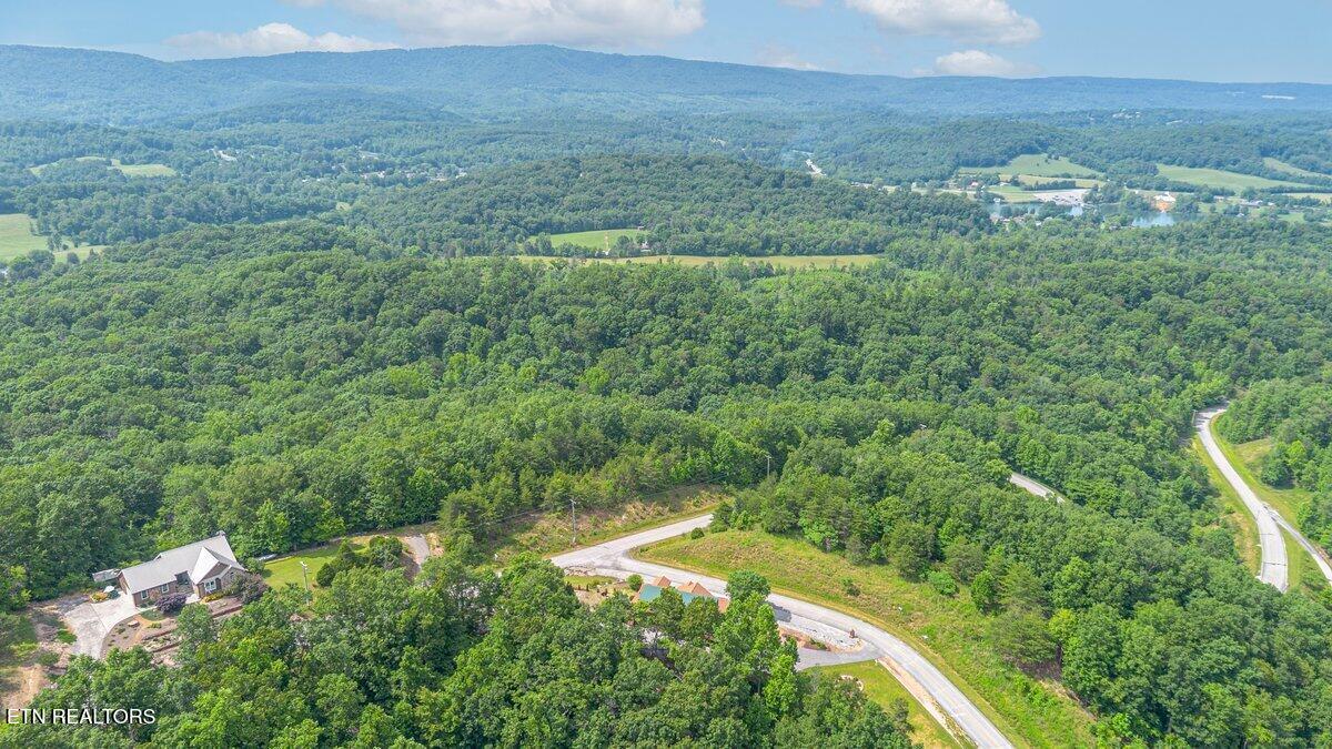 0 Crystal Springs Rockwood TN 37854