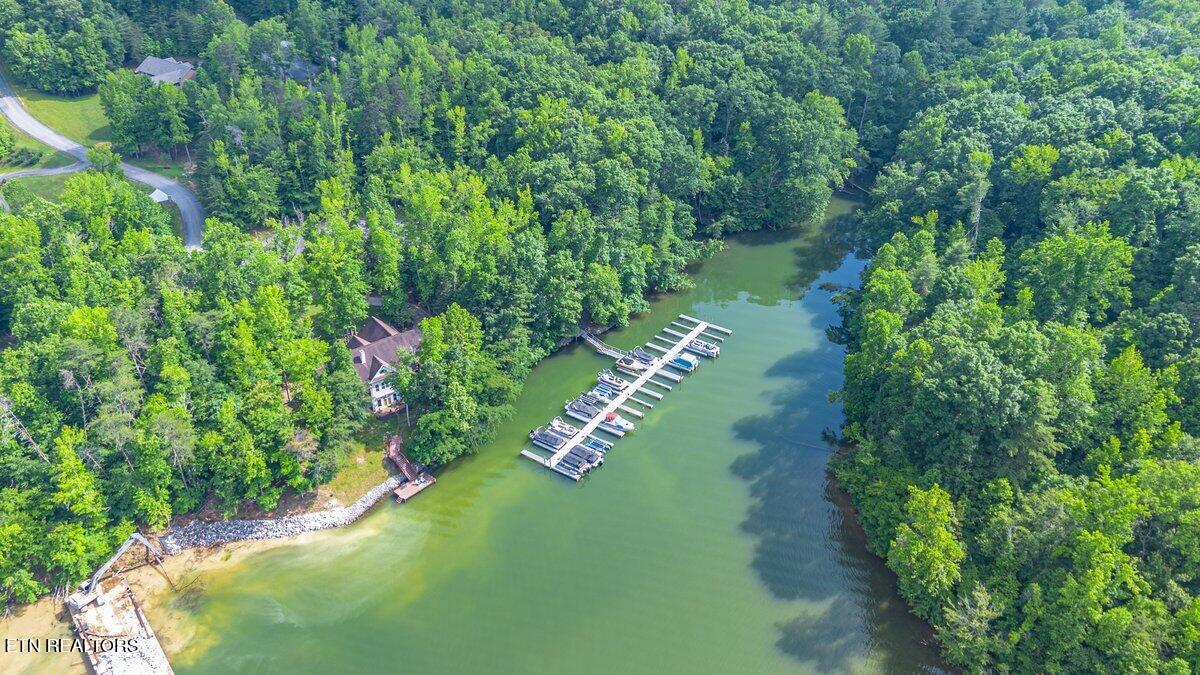 0 Crystal Springs Rockwood TN 37854