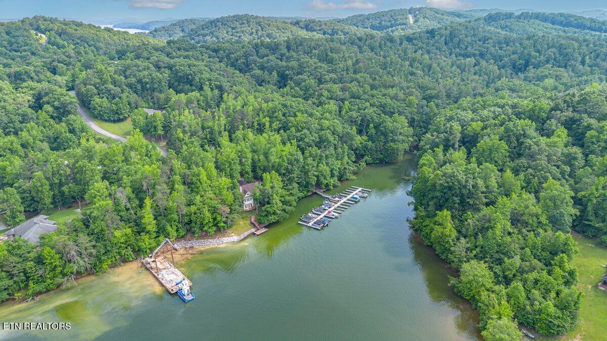 0 Crystal Springs Rockwood TN 37854