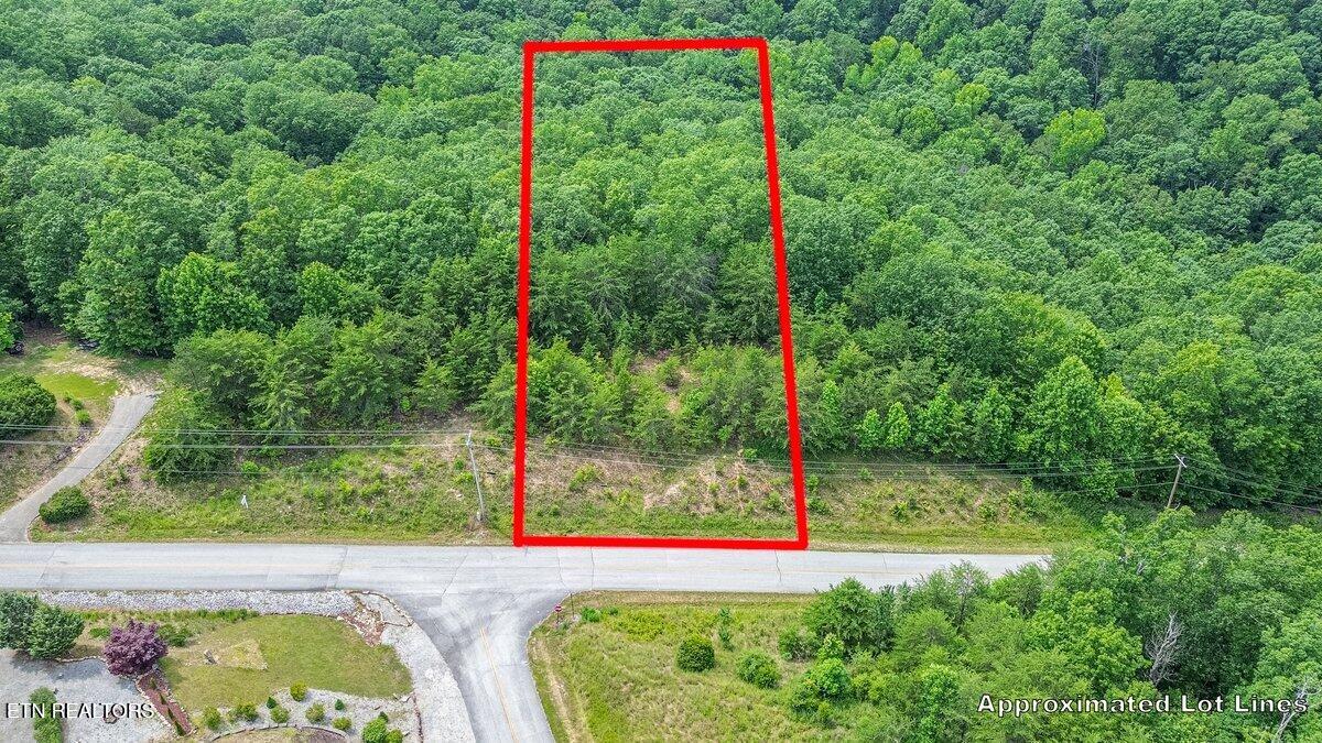 0 Crystal Springs Rockwood TN 37854