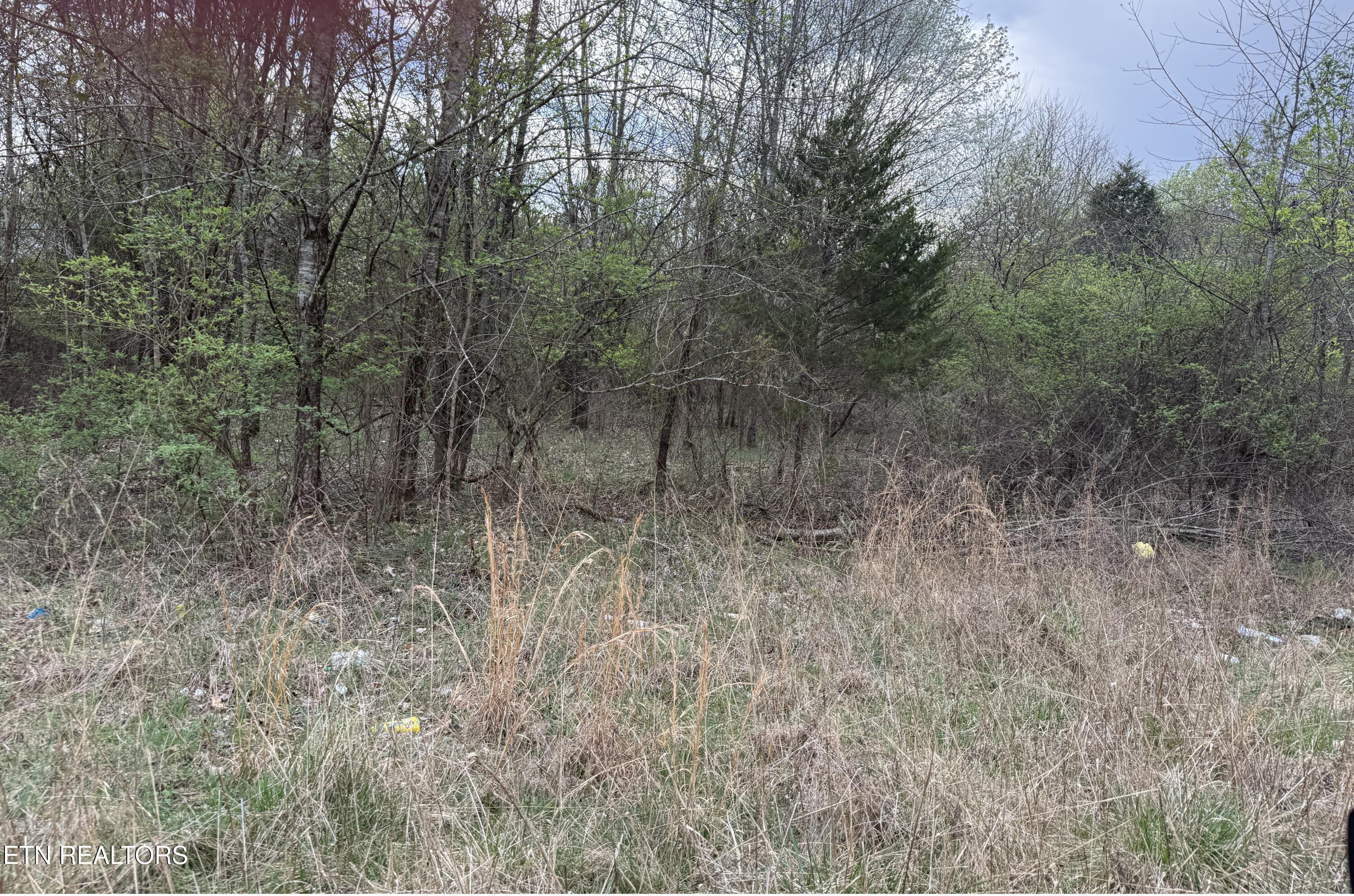 175 Foxwood Drive Kingston TN 37763