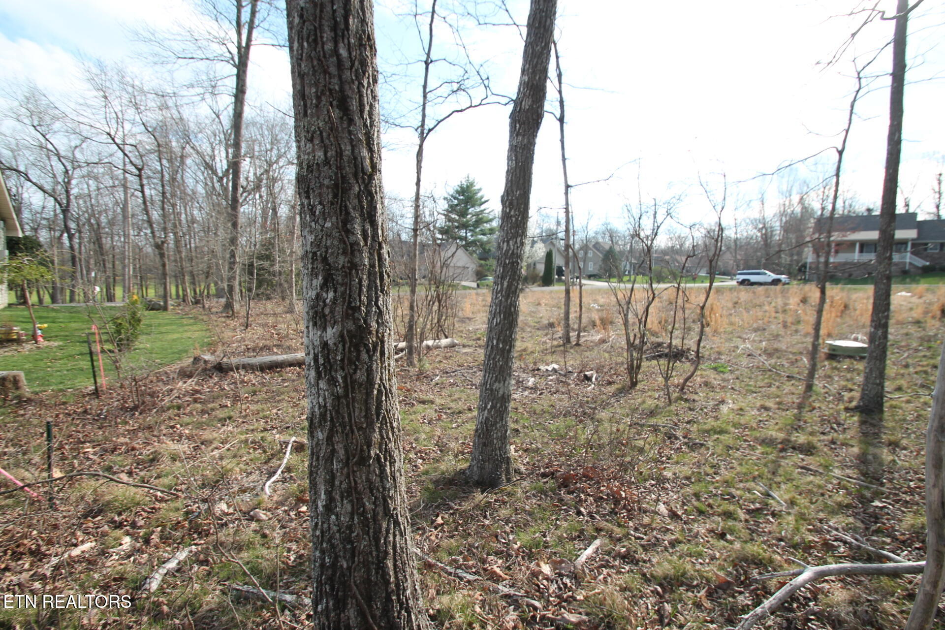 12 Walden Ridge Circle Fairfield Glade TN 38558