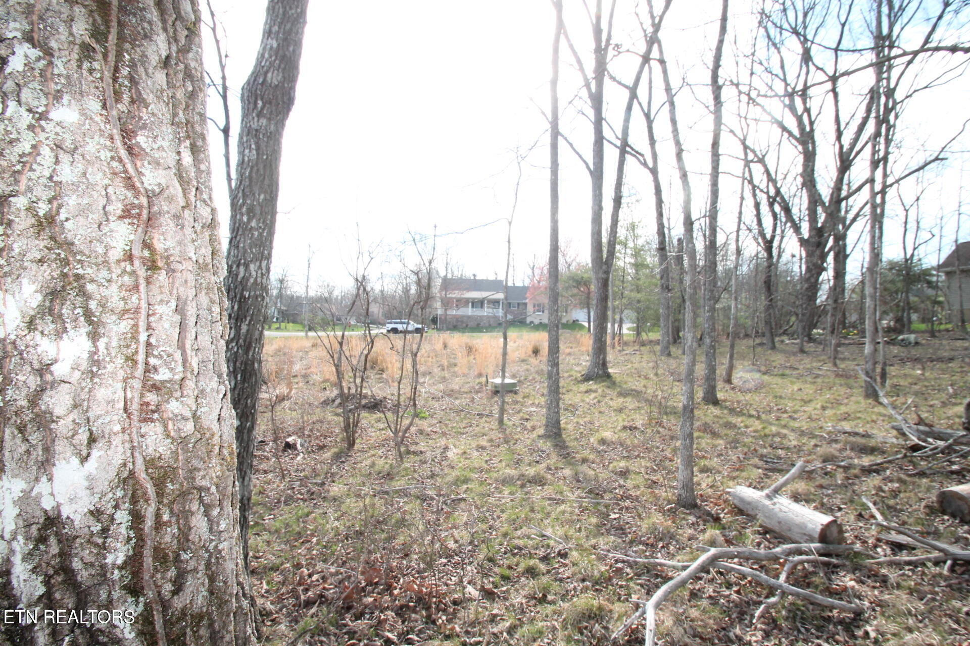 12 Walden Ridge Circle Fairfield Glade TN 38558