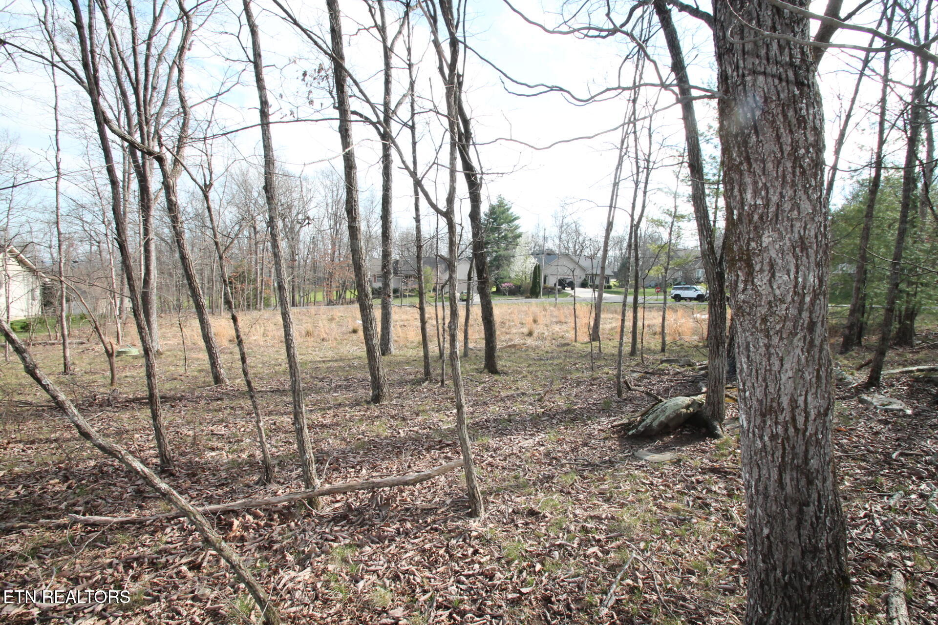 12 Walden Ridge Circle Fairfield Glade TN 38558