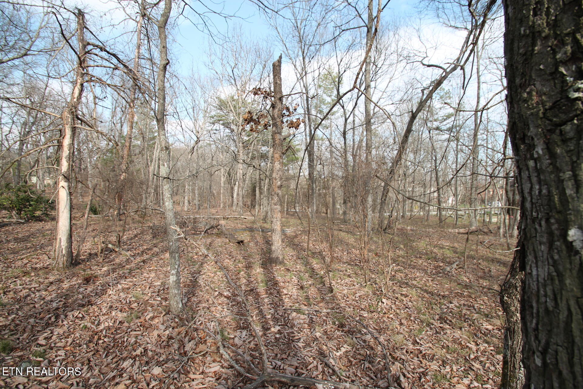 12 Walden Ridge Circle Fairfield Glade TN 38558