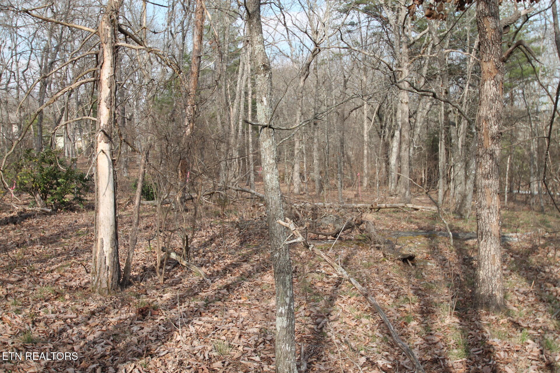 12 Walden Ridge Circle Fairfield Glade TN 38558