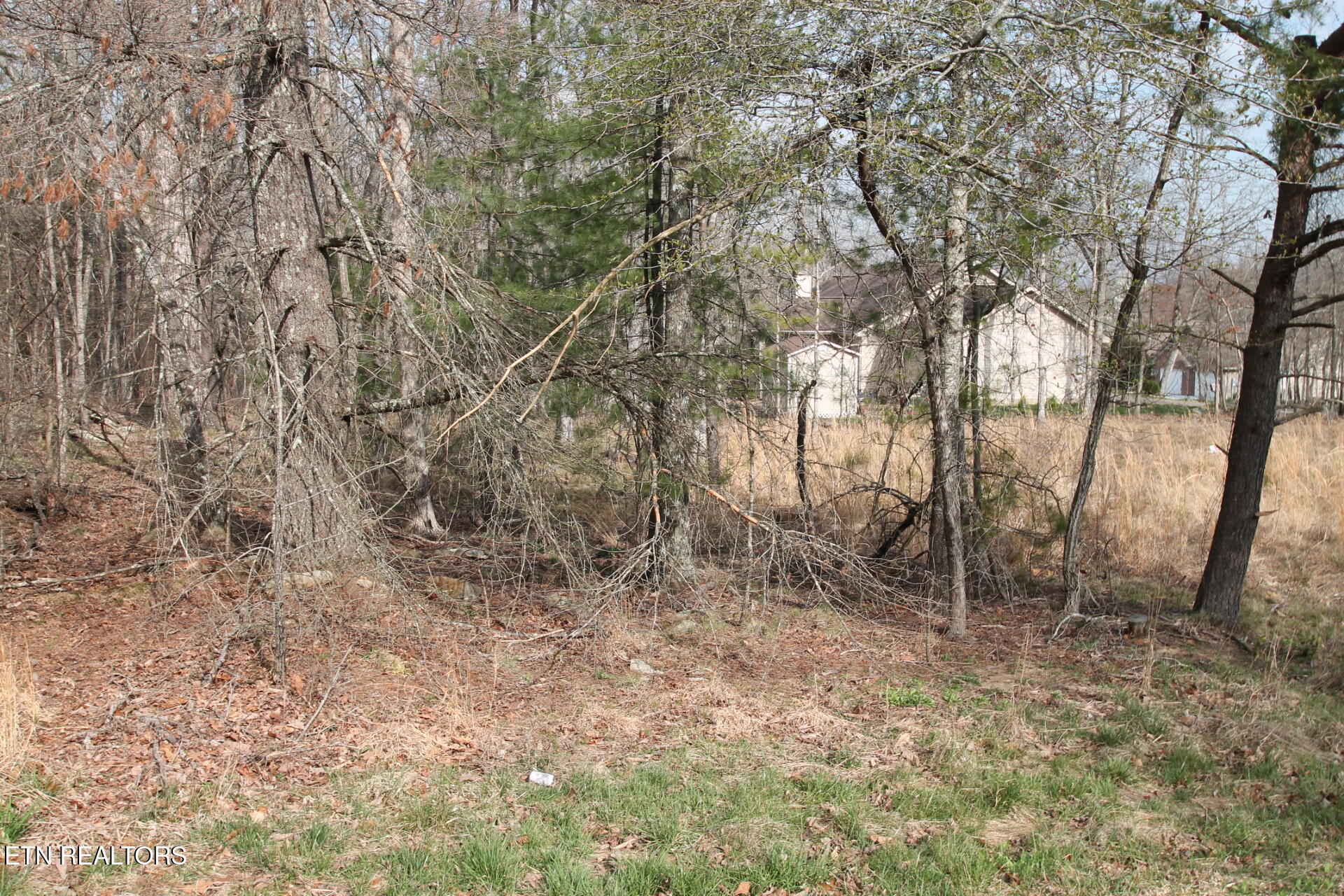 12 Walden Ridge Circle Fairfield Glade TN 38558
