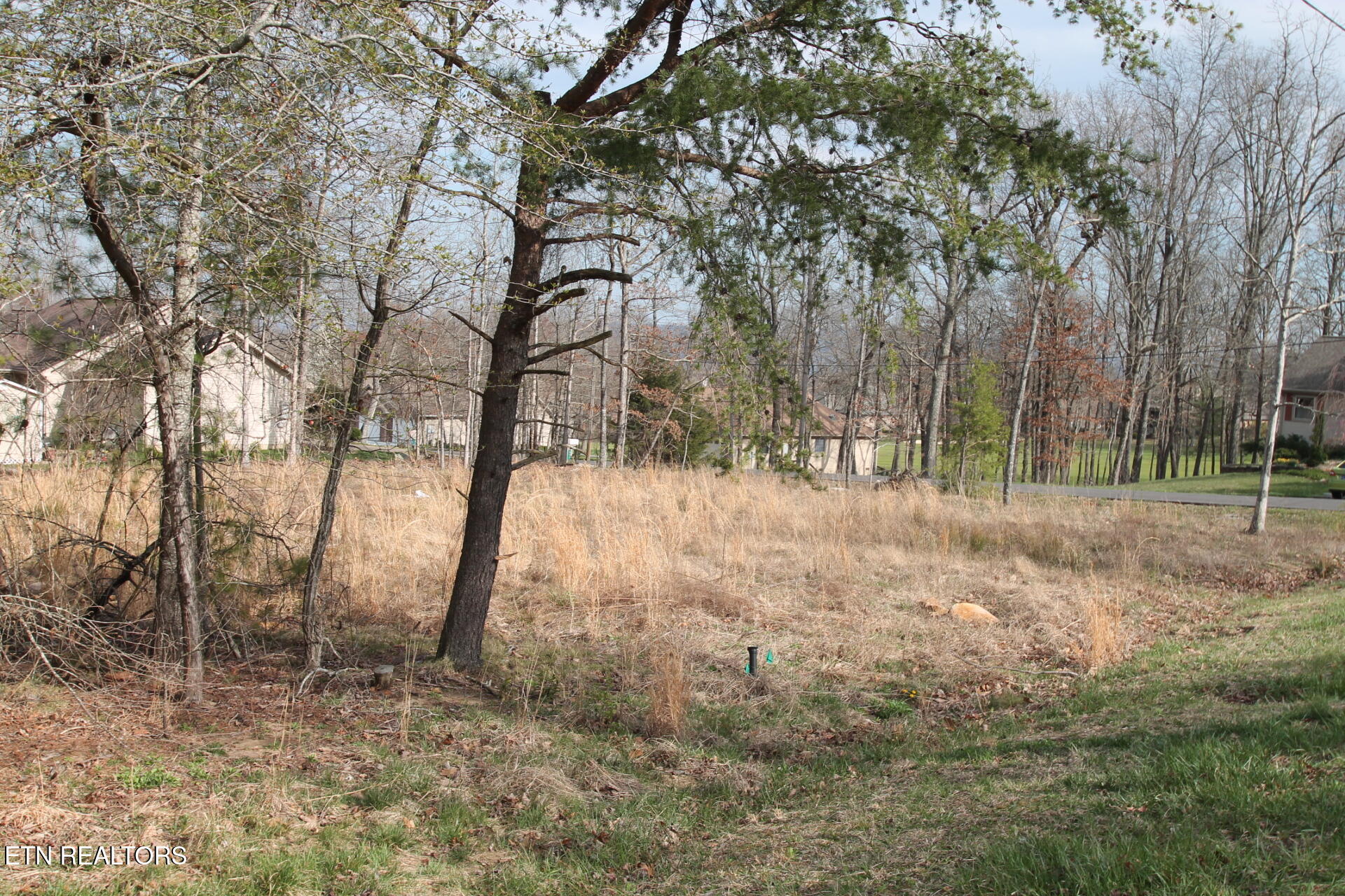 12 Walden Ridge Circle Fairfield Glade TN 38558