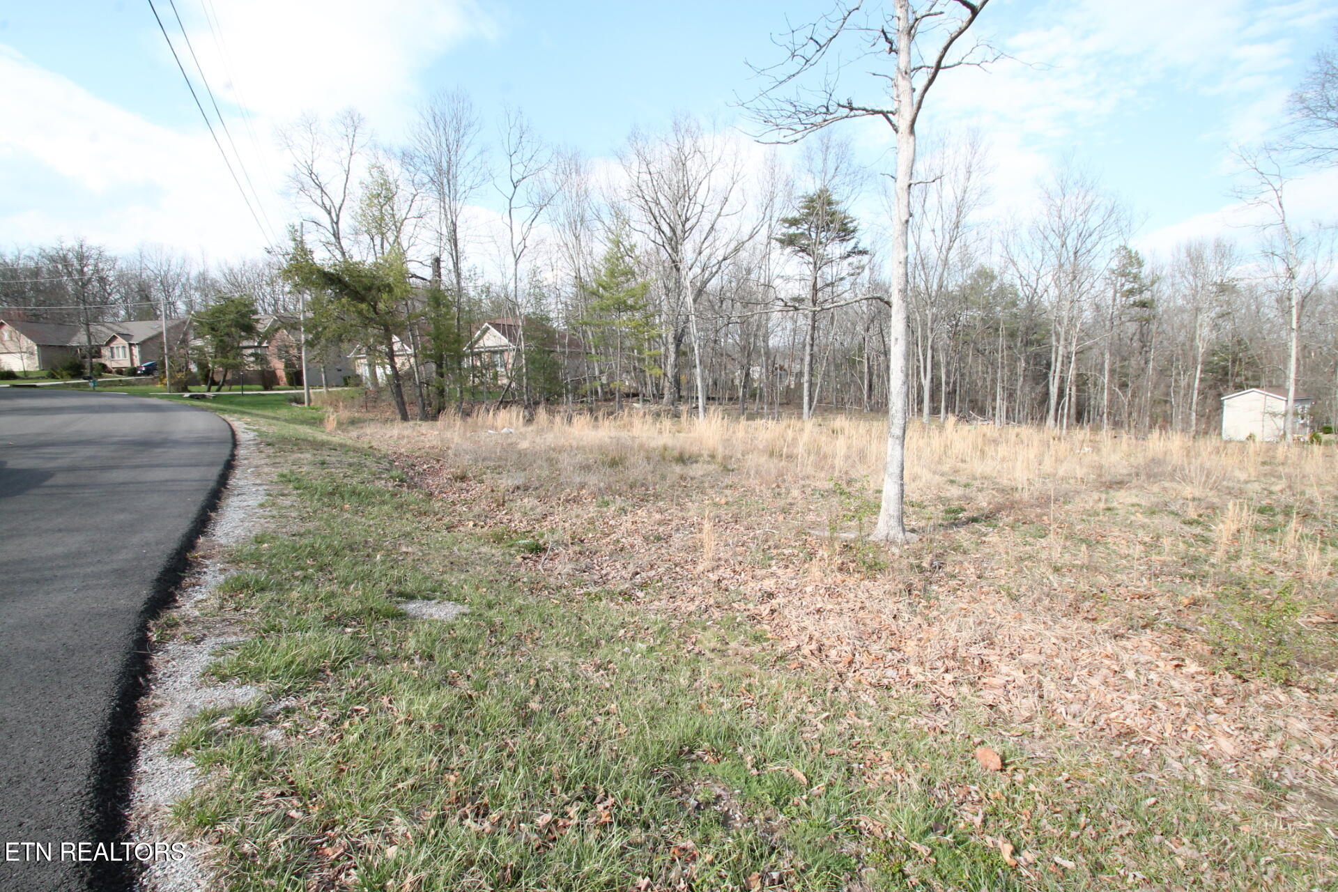 12 Walden Ridge Circle Fairfield Glade TN 38558