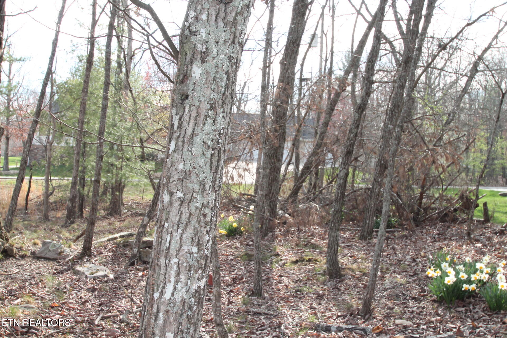 12 Walden Ridge Circle Fairfield Glade TN 38558