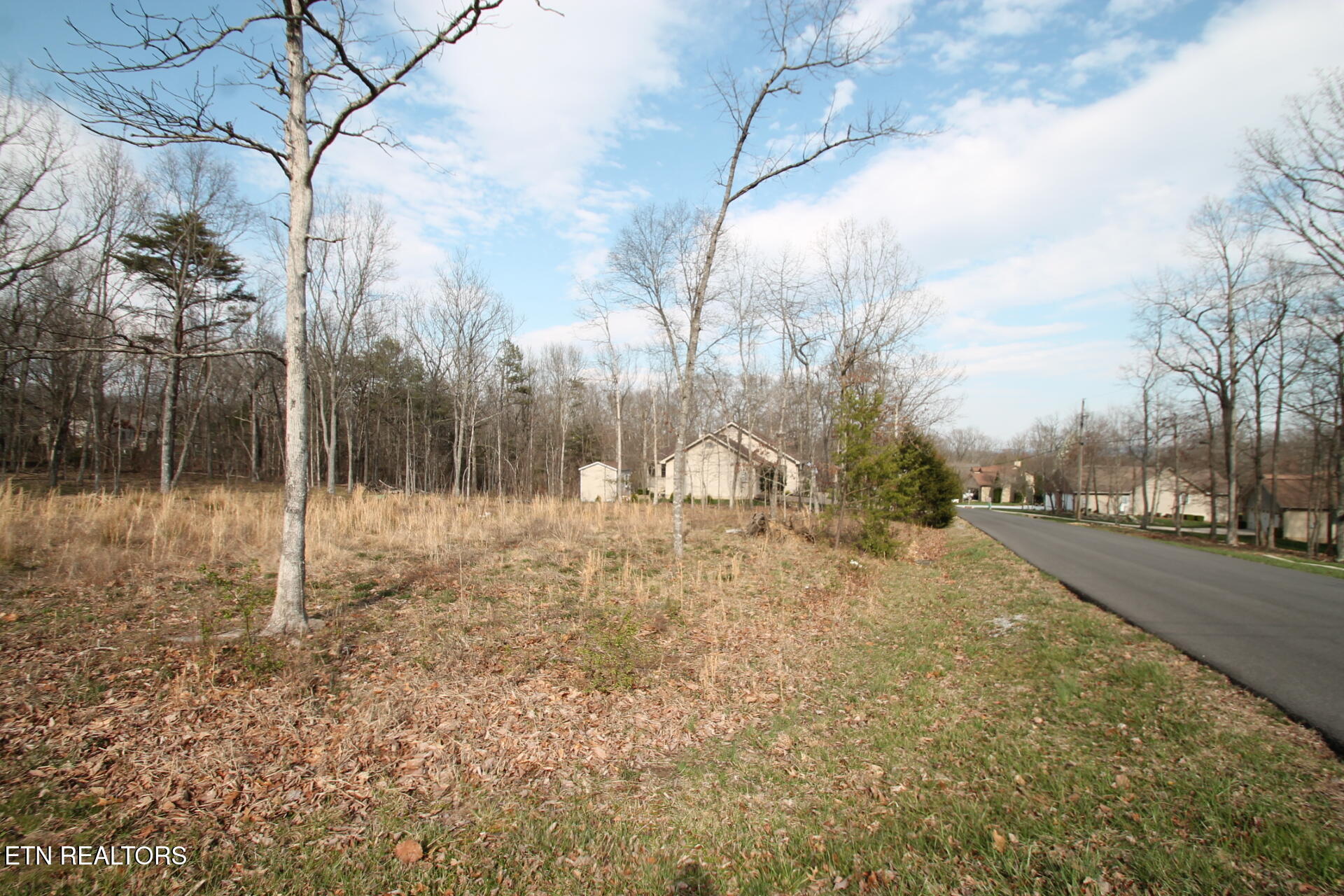 12 Walden Ridge Circle Fairfield Glade TN 38558