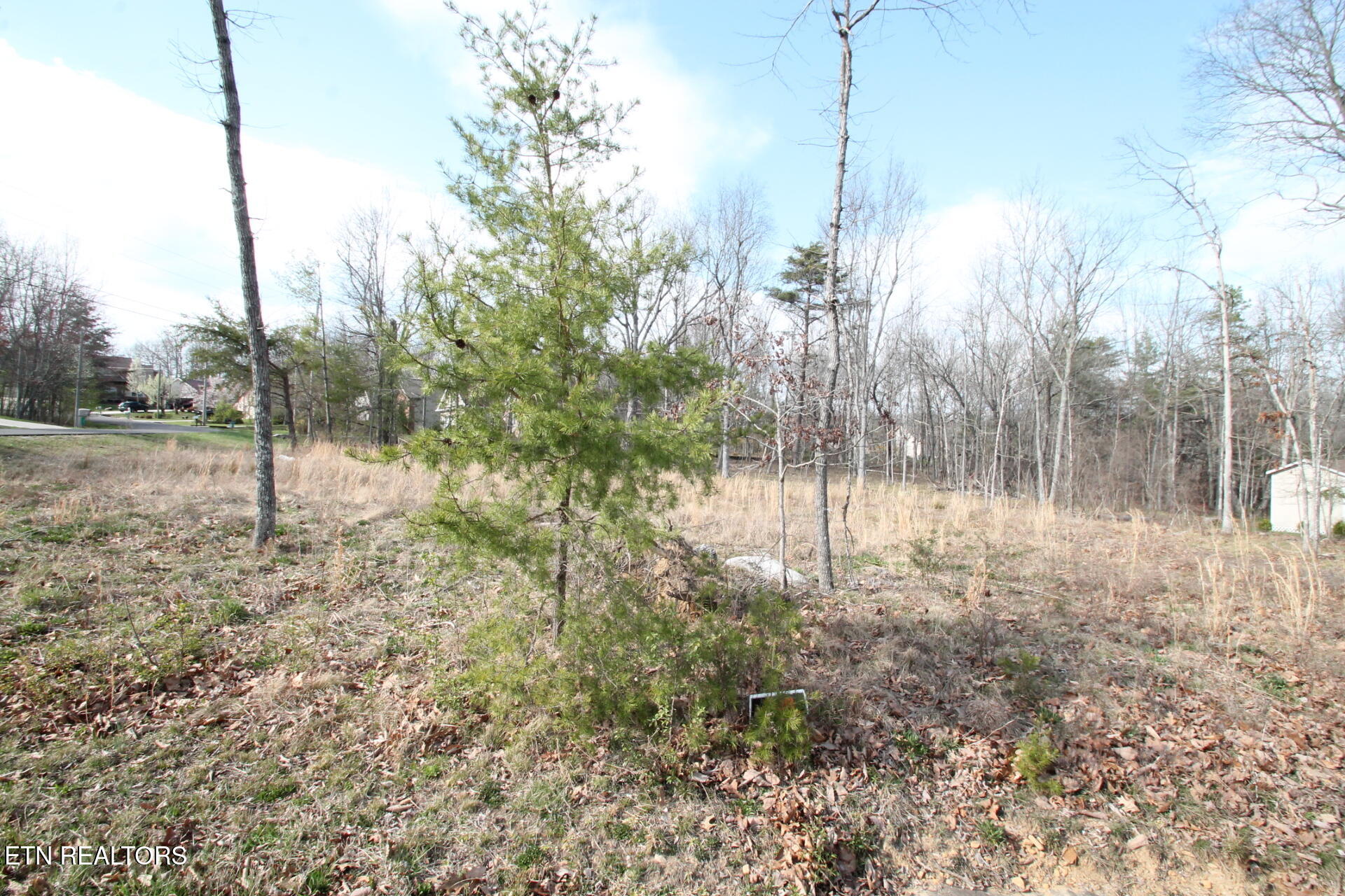 12 Walden Ridge Circle Fairfield Glade TN 38558