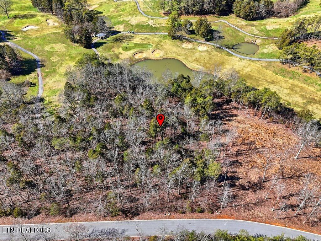 Lot 101 Eagles Ridge Tazewell TN 37879