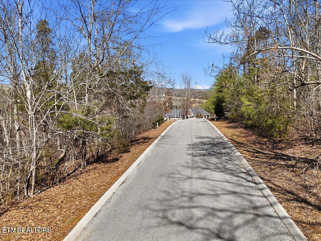 Lot 101 Eagles Ridge Tazewell TN 37879